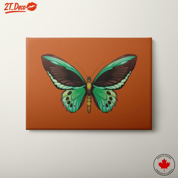 Colorful Butterfly Illustration on Orange Background