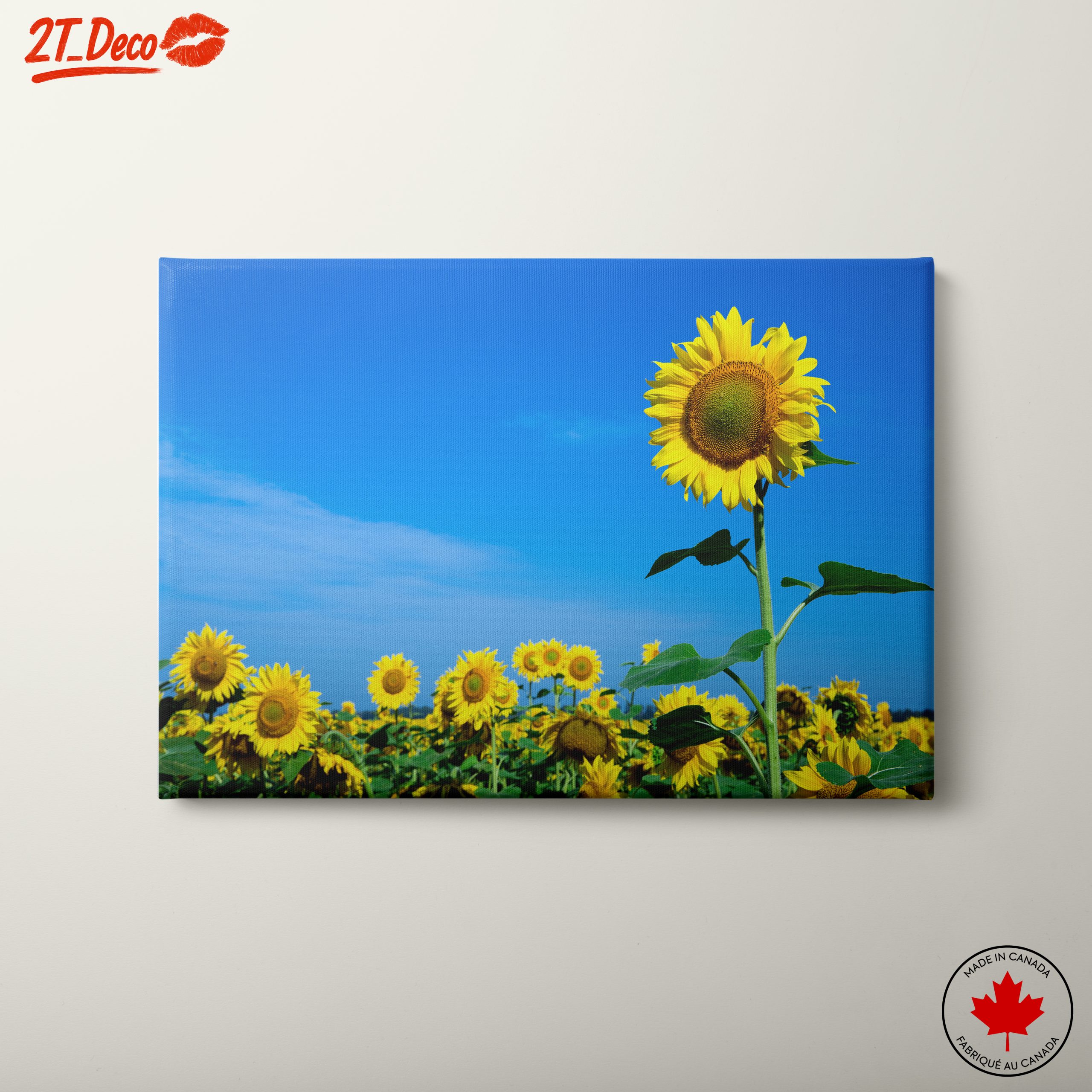 Vibrant Sunflower Field Under Clear Blue Sky
