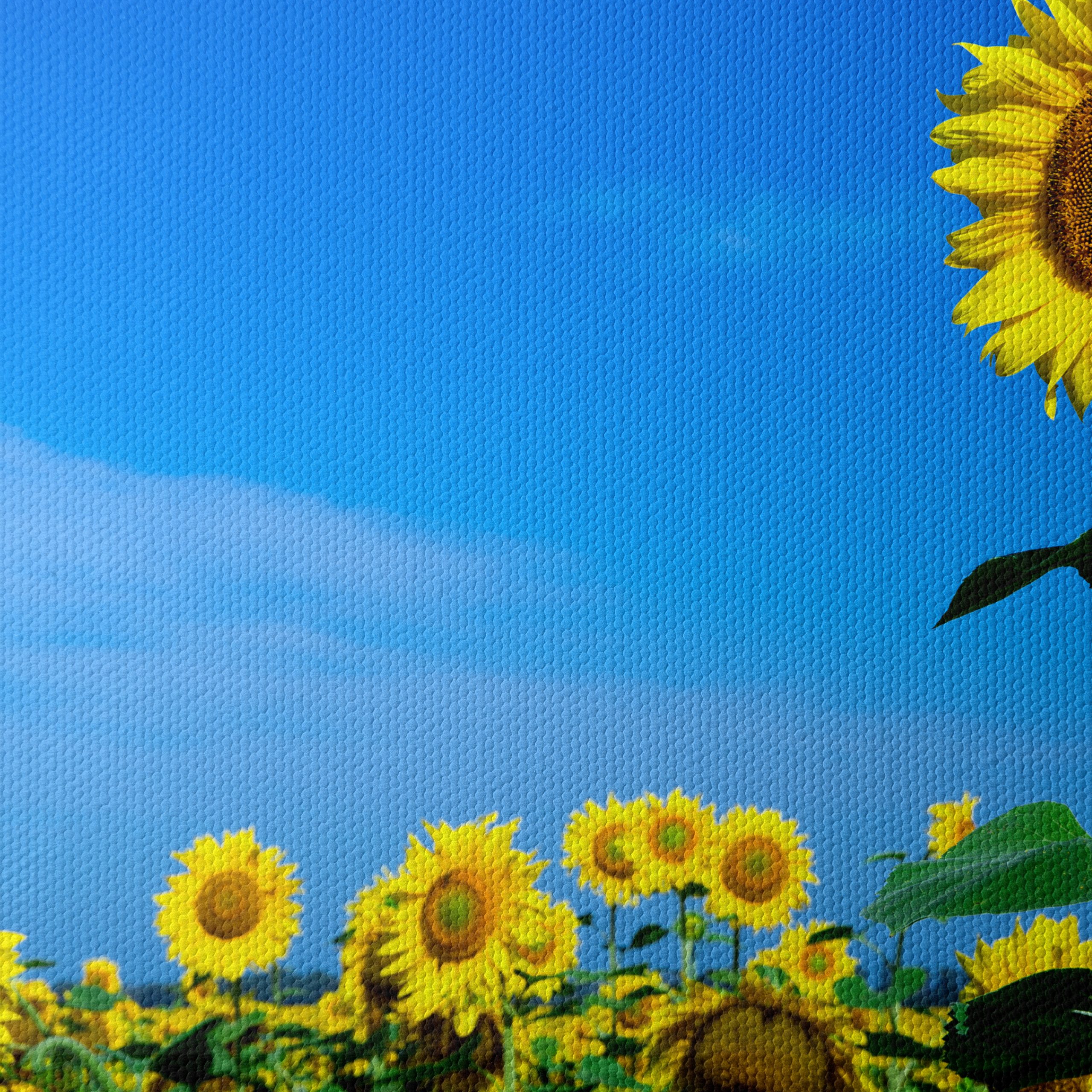 Vibrant Sunflower Field Under Clear Blue Sky - Image 4