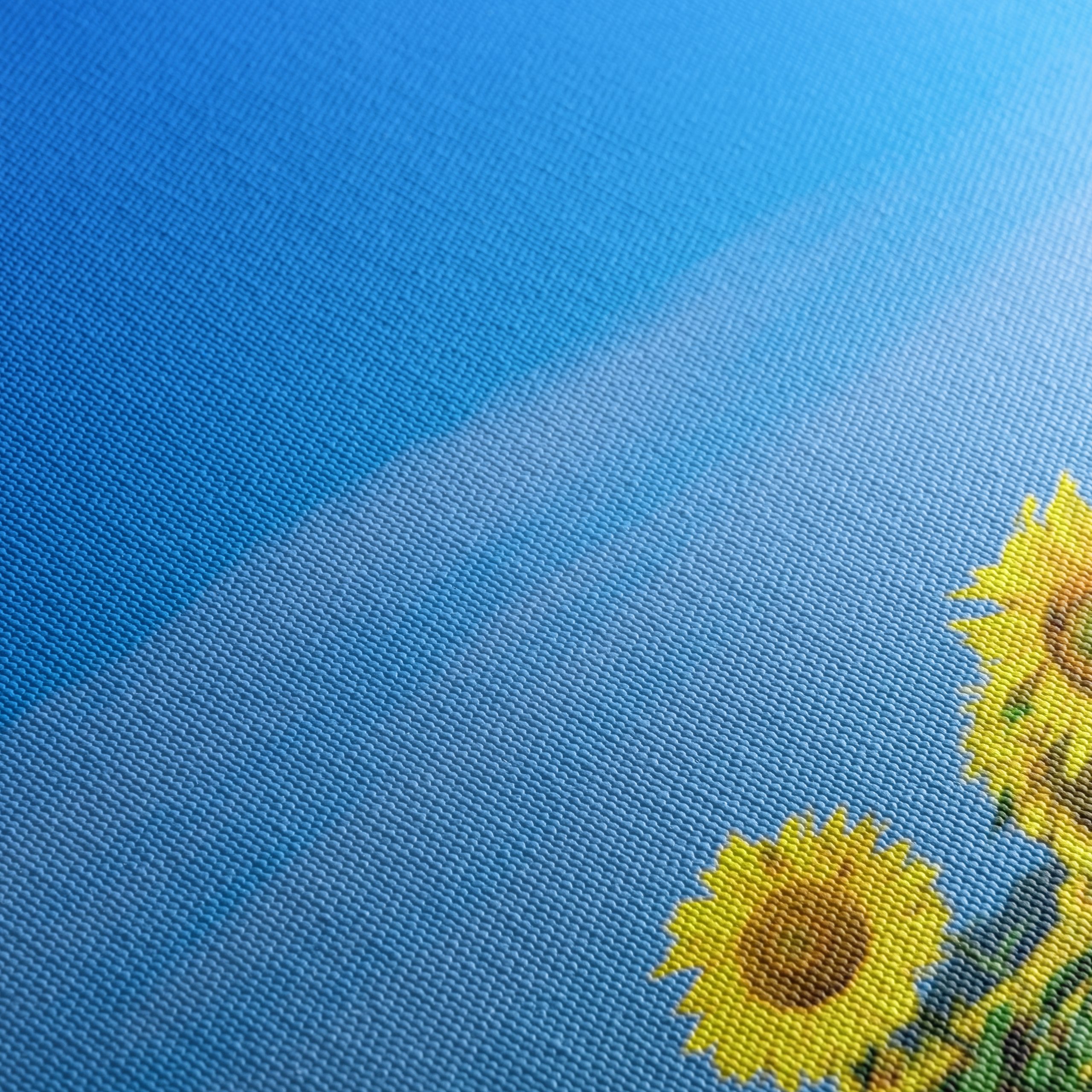 Vibrant Sunflower Field Under Clear Blue Sky - Image 5