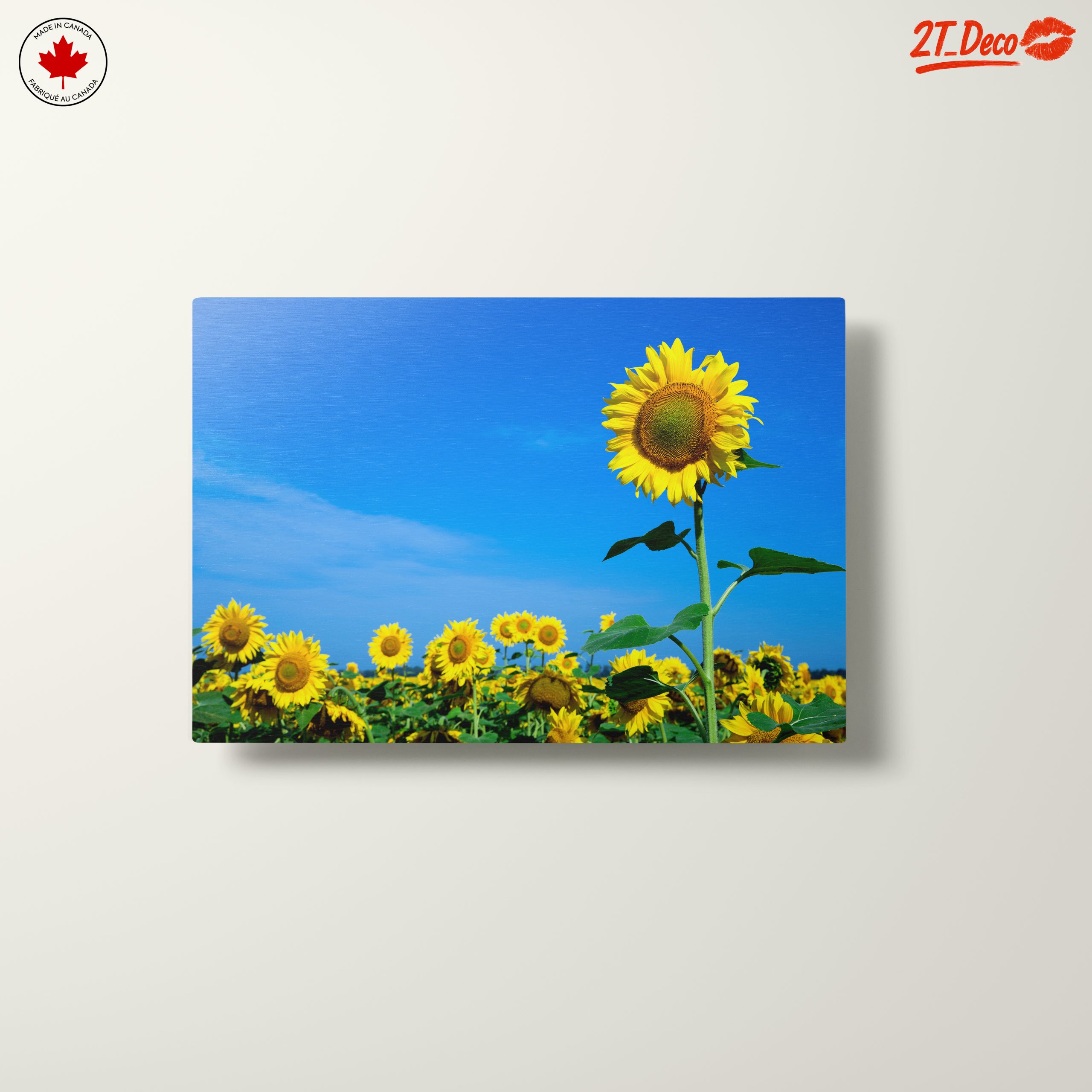 Vibrant Sunflower Field Under Clear Blue Sky - Image 10