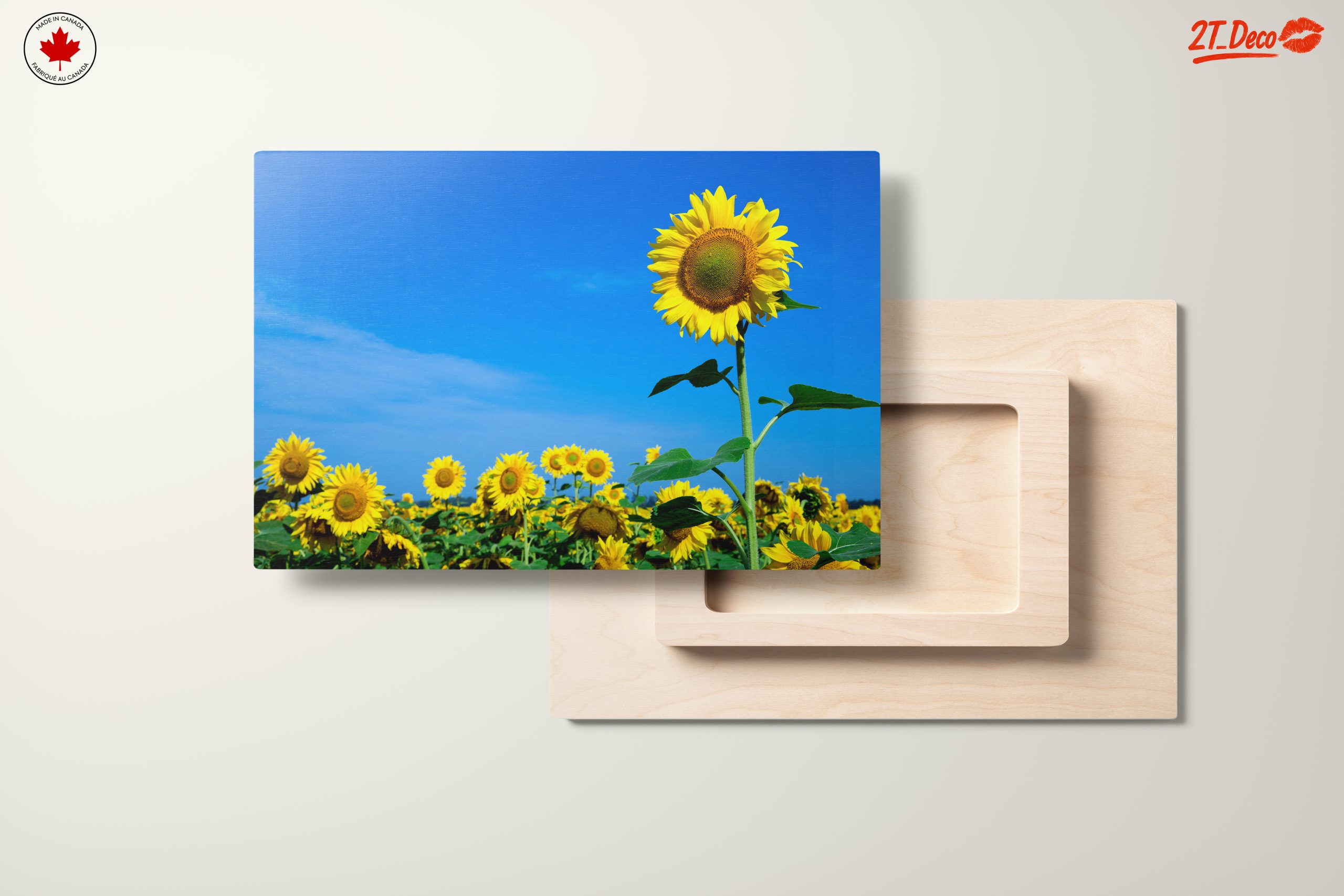Vibrant Sunflower Field Under Clear Blue Sky - Image 11