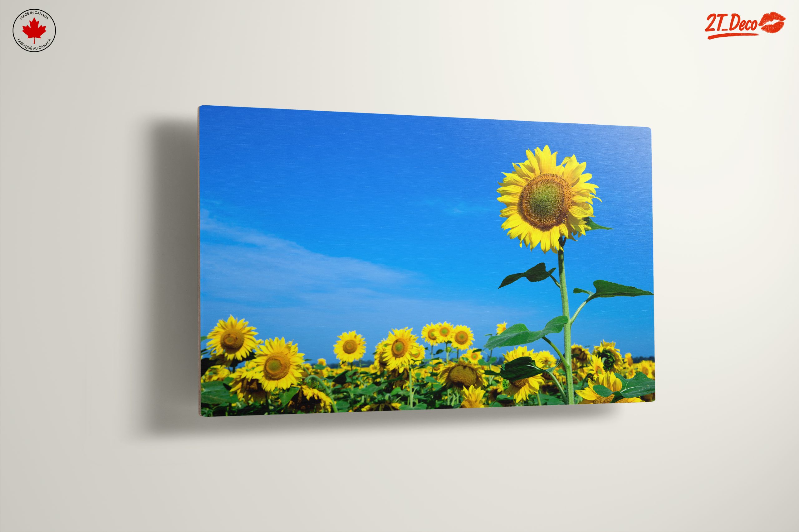 Vibrant Sunflower Field Under Clear Blue Sky - Image 13
