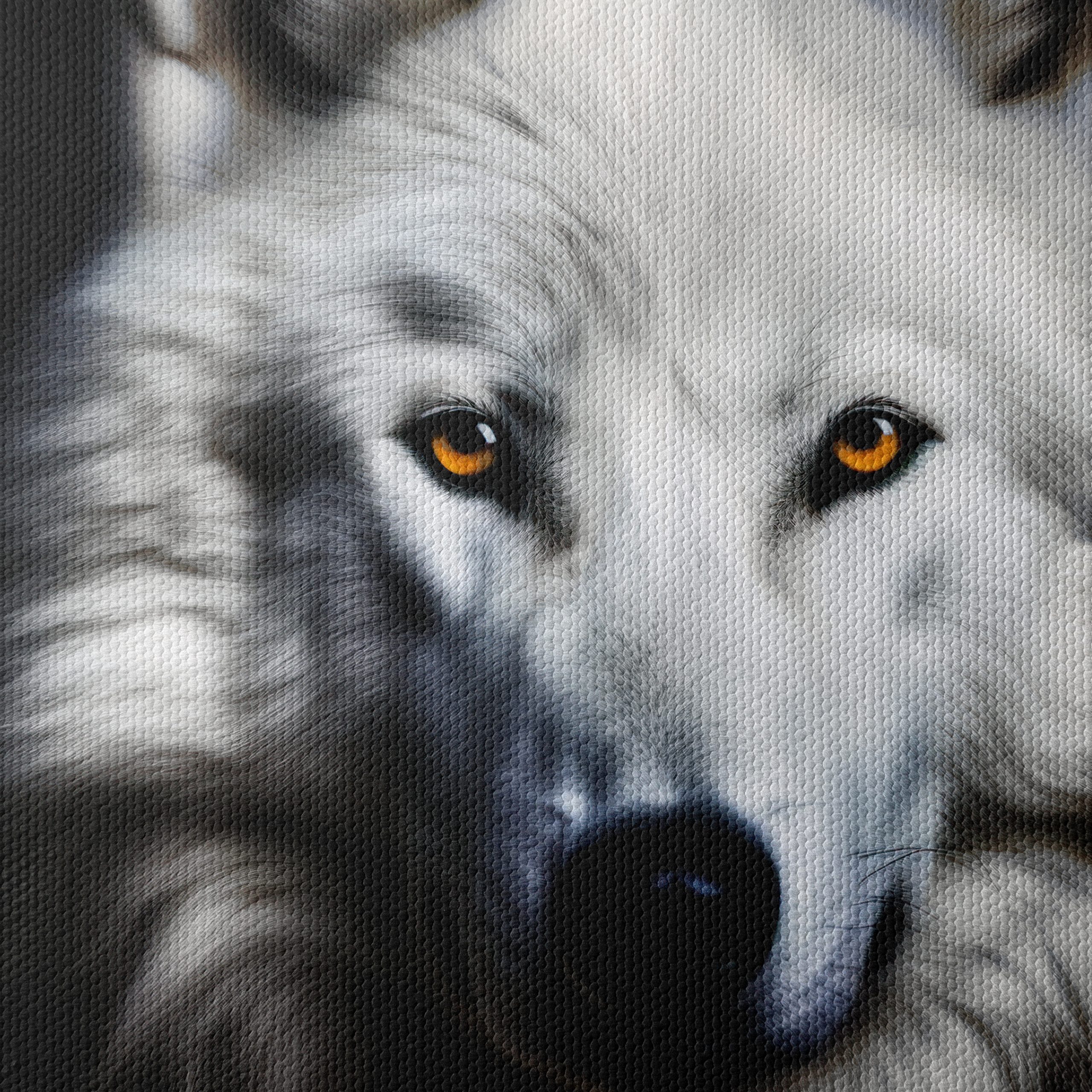 Stunning White Wolf Art - Image 4