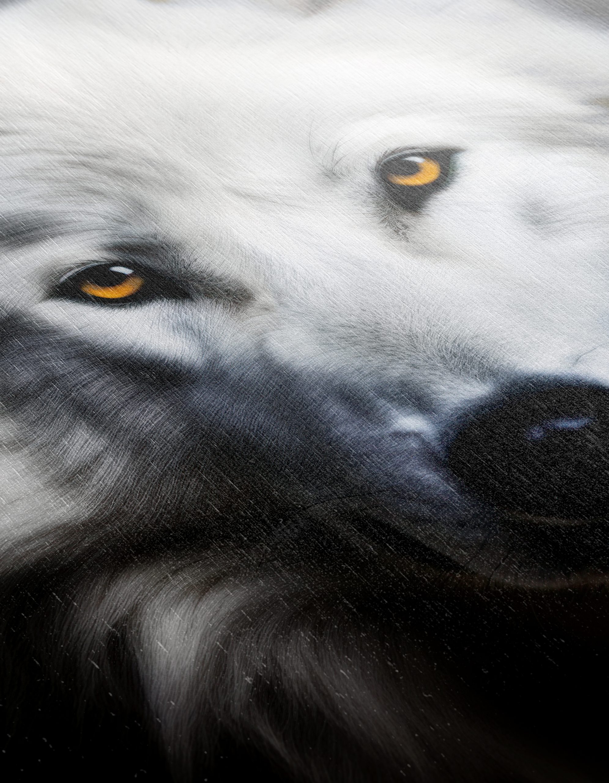 Stunning White Wolf Art - Image 12
