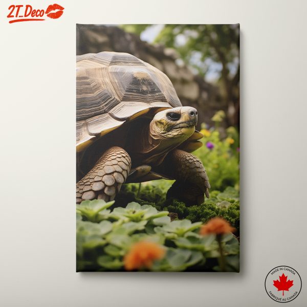 Serene Tortoise Amidst Lush Greenery