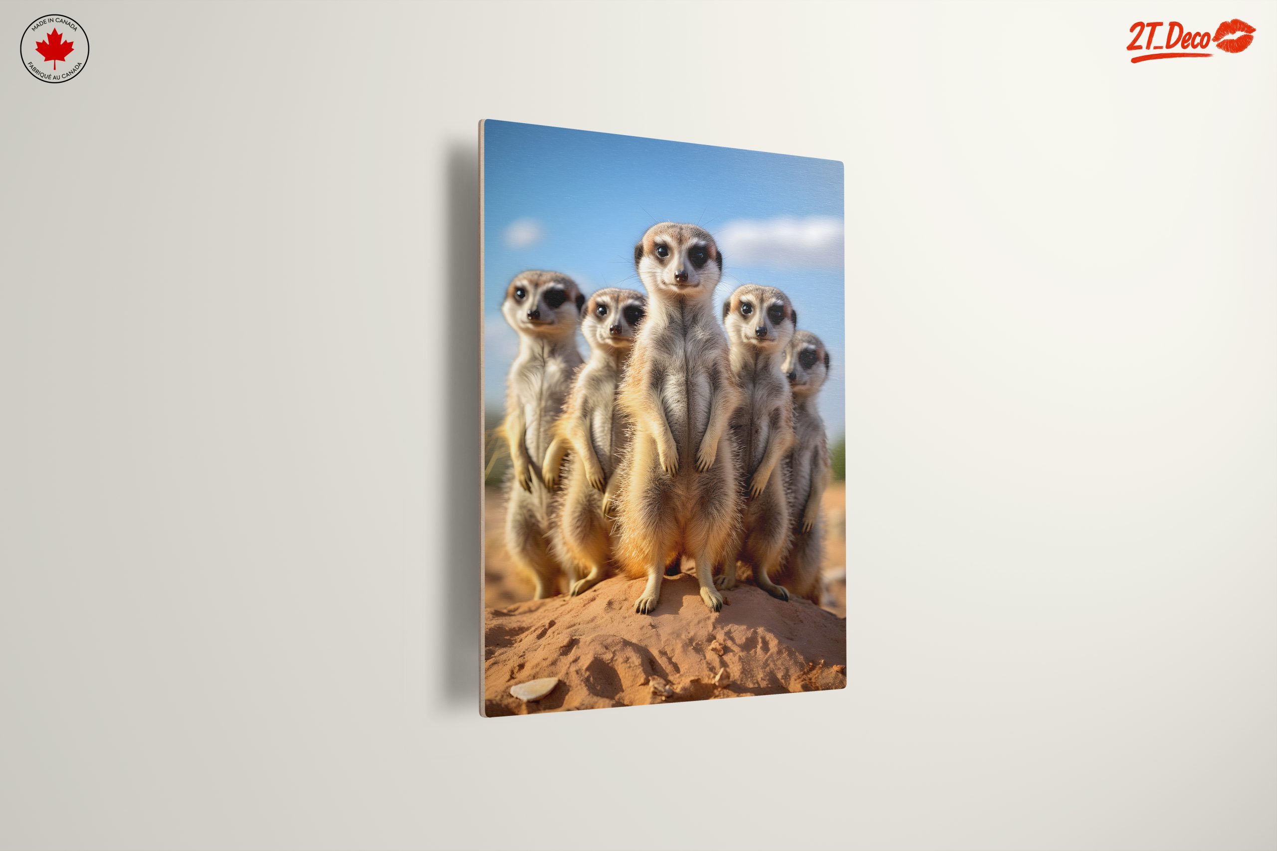 Meerkats Standing Together in the Wild - Image 13