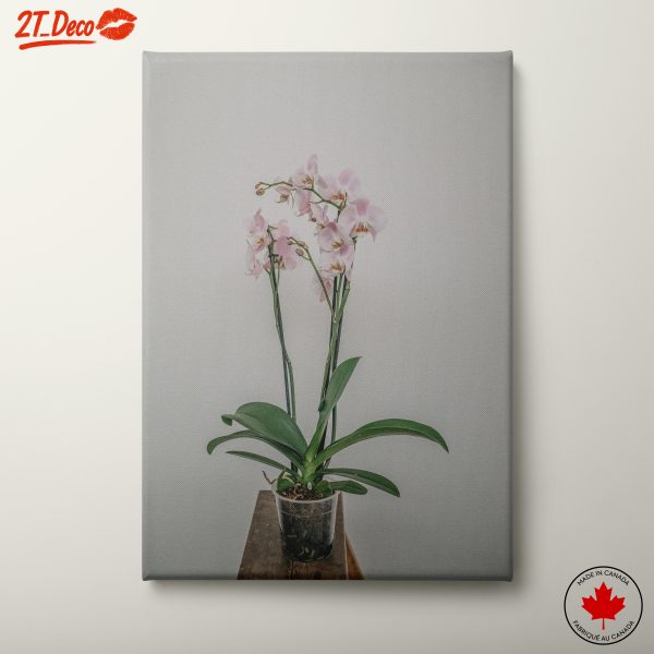 Elegant Orchid Floral Arrangement for Home Decor