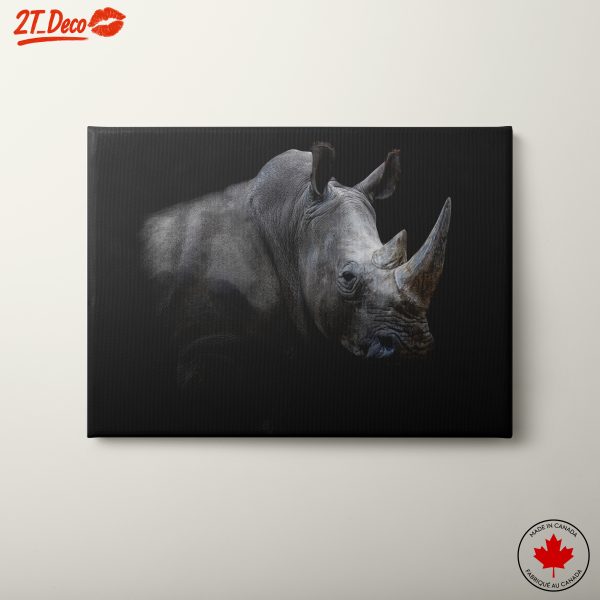 Majestic Rhinoceros Portrait in Dark