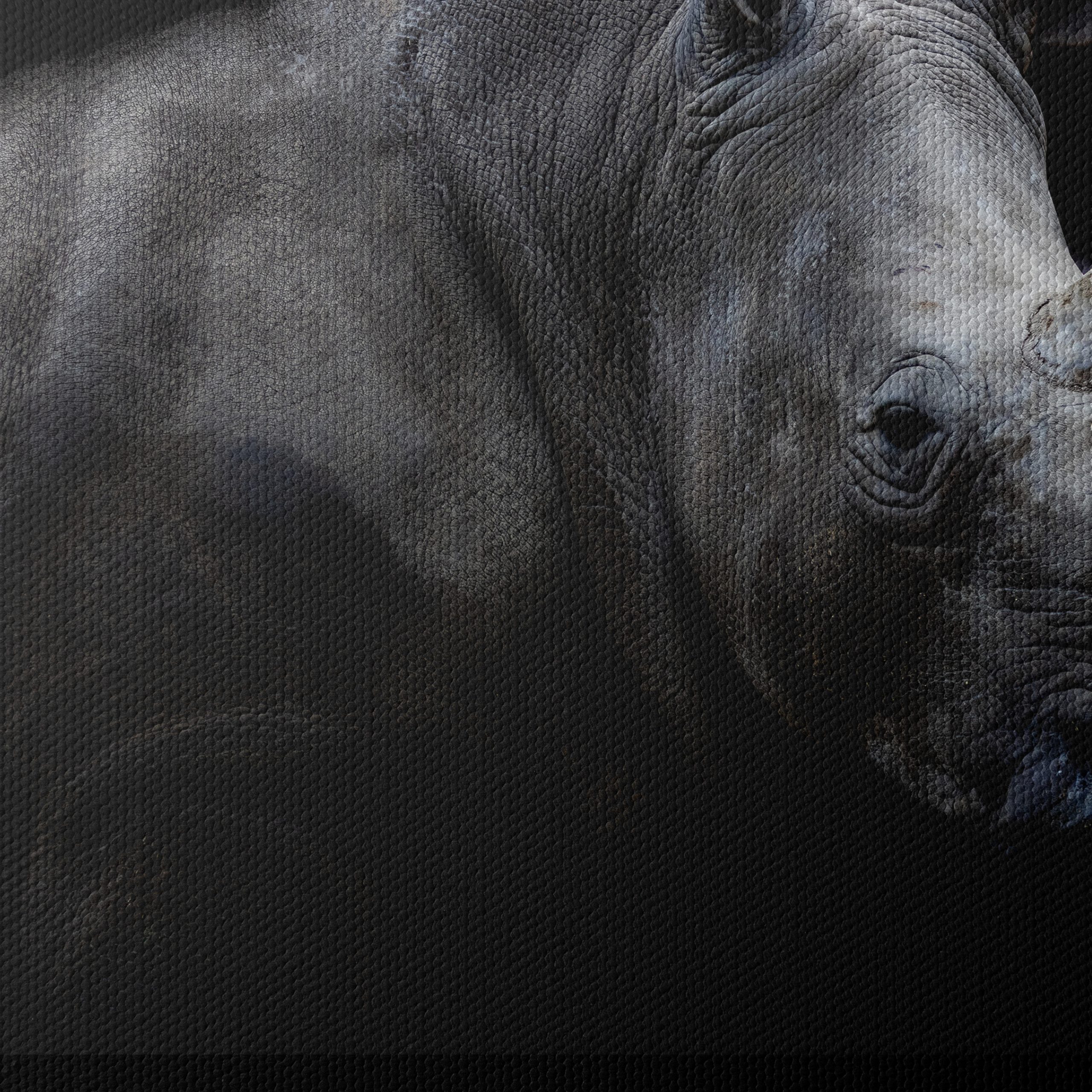 Majestic Rhinoceros Portrait in Dark - Image 4