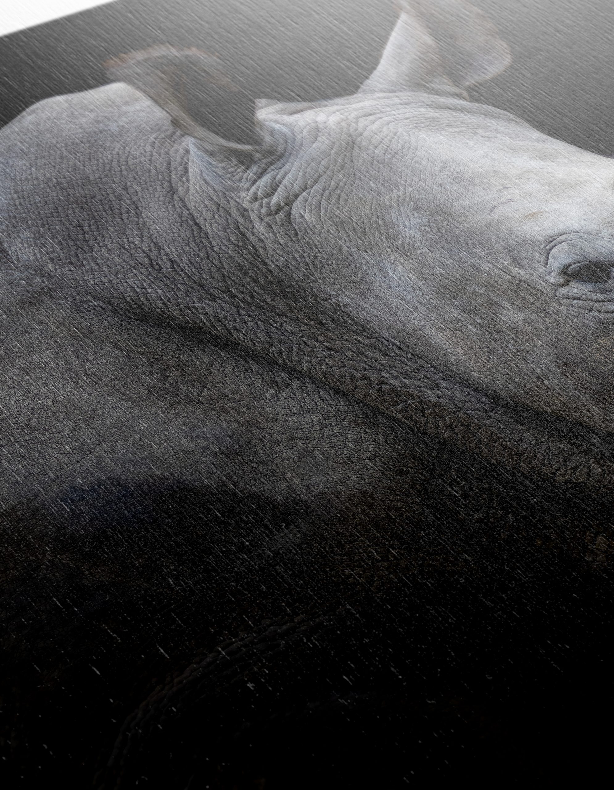 Majestic Rhinoceros Portrait in Dark - Image 12