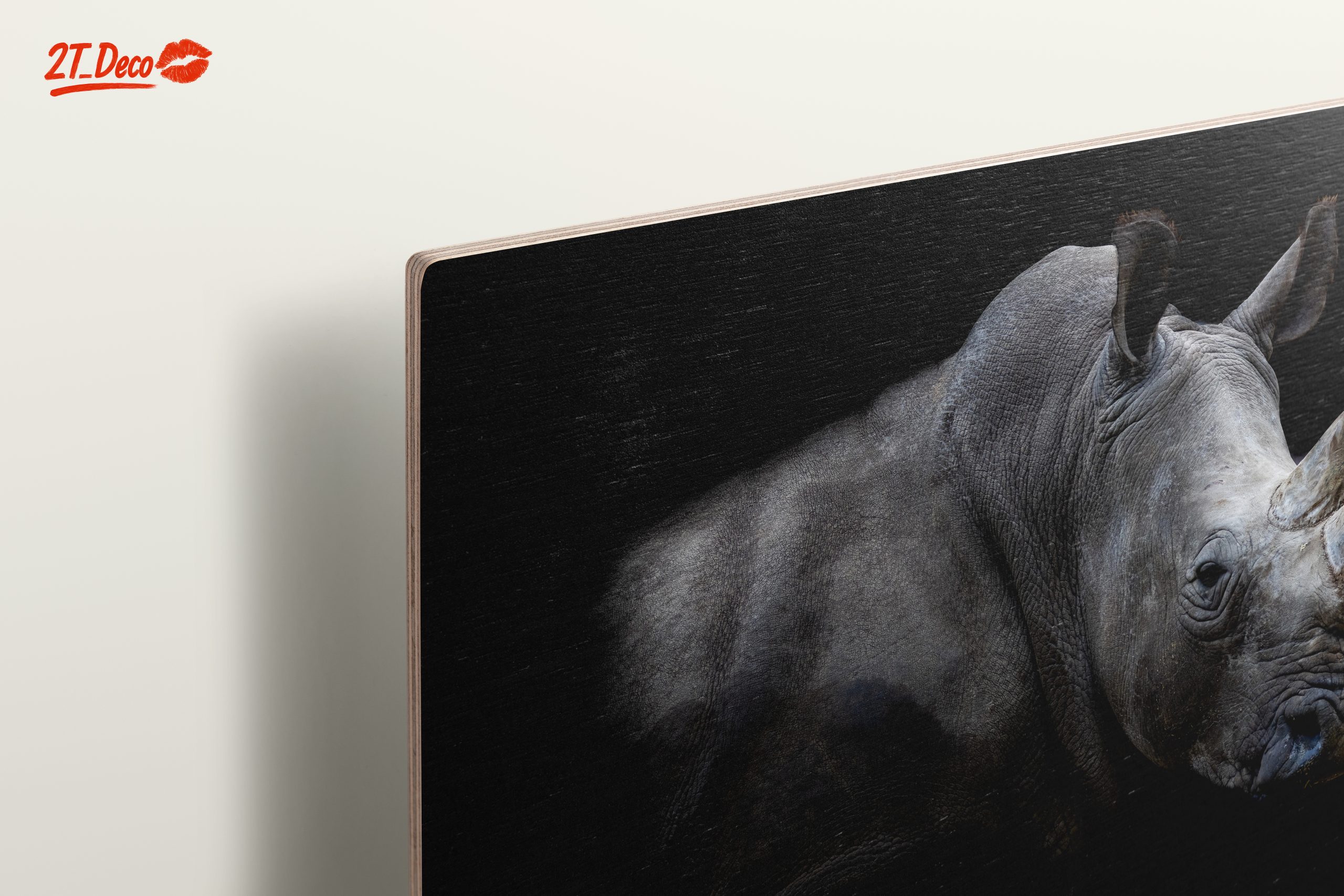 Majestic Rhinoceros Portrait in Dark - Image 15
