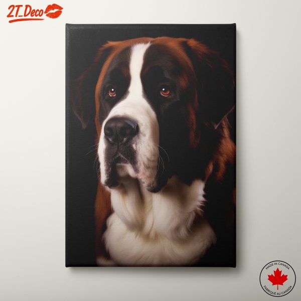 St. Bernard Dog Portrait