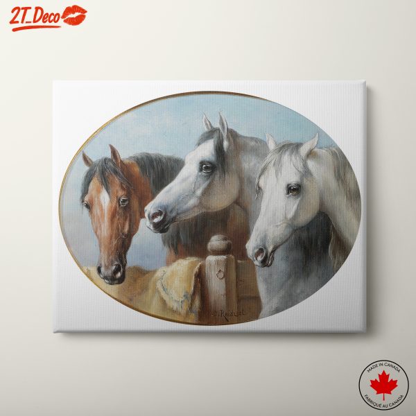 Trio of Majestic Horses in Elegant Setting