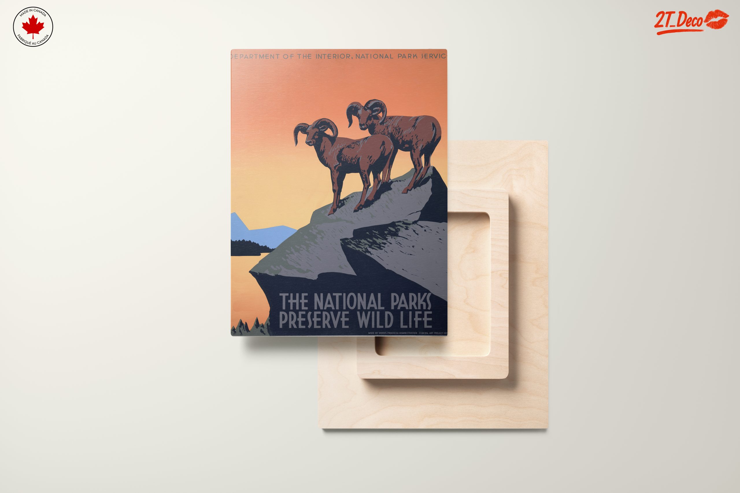 Wildlife Preservation in Nature - Image 11