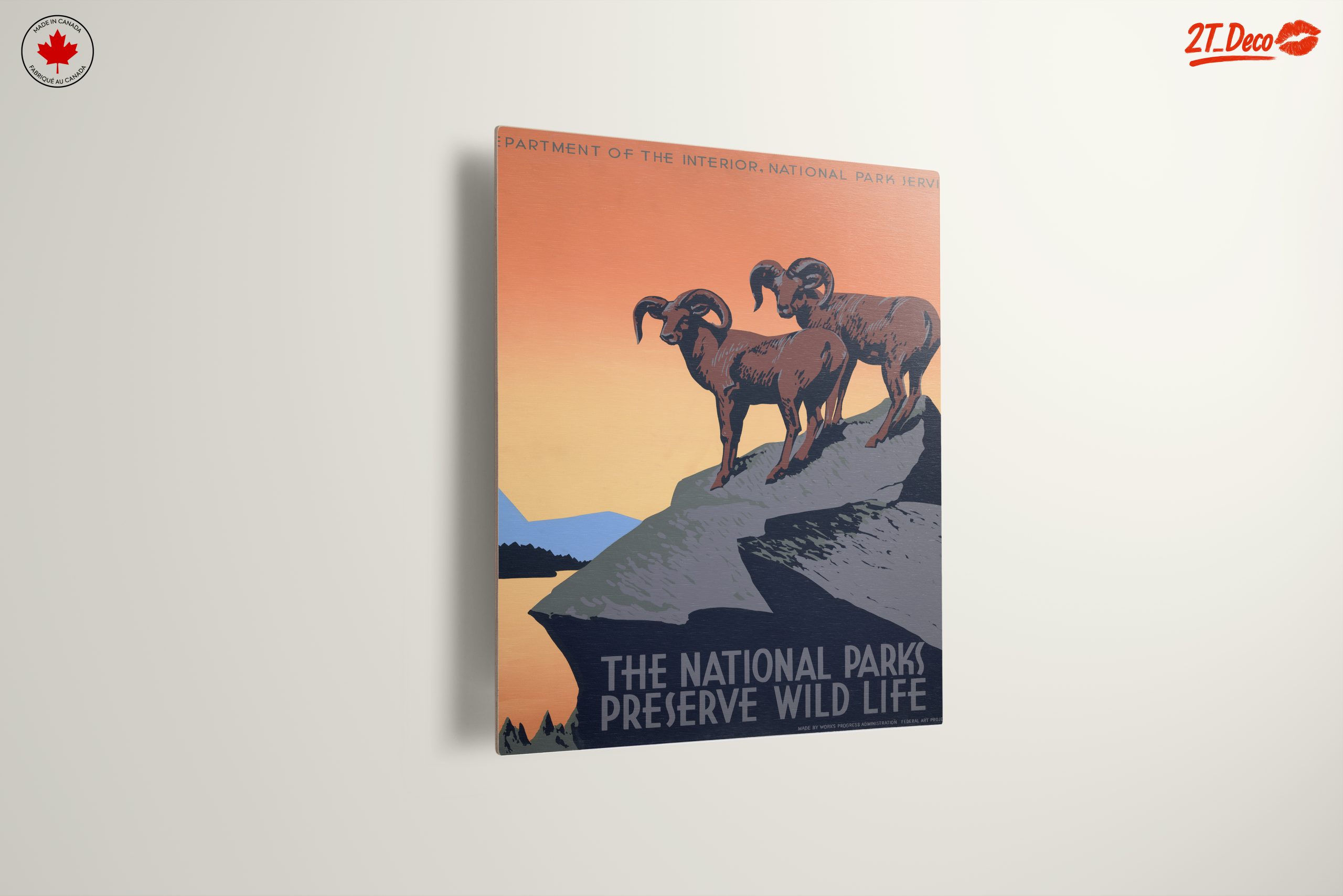 Wildlife Preservation in Nature - Image 13