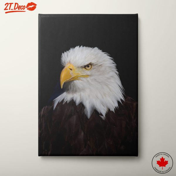 Majestic Eagle Portrait Wall Art 3
