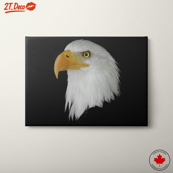 Majestic Eagle Portrait Art