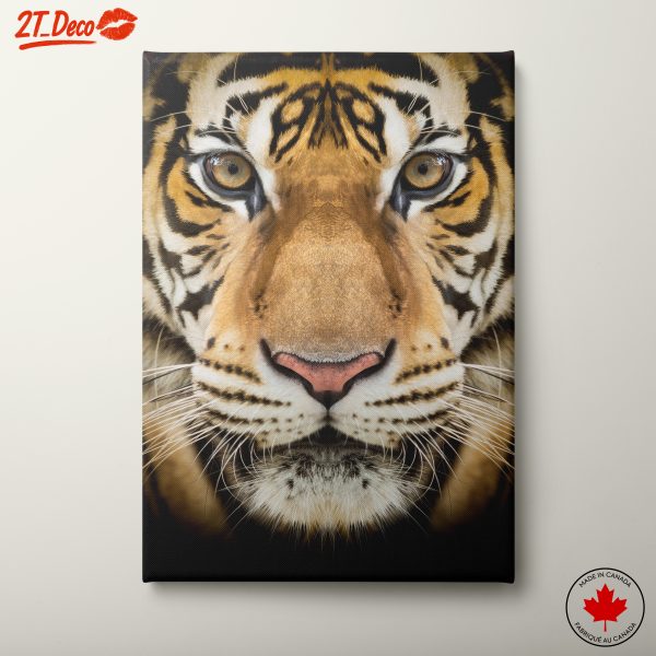 Stunning Tiger Wall Art 2
