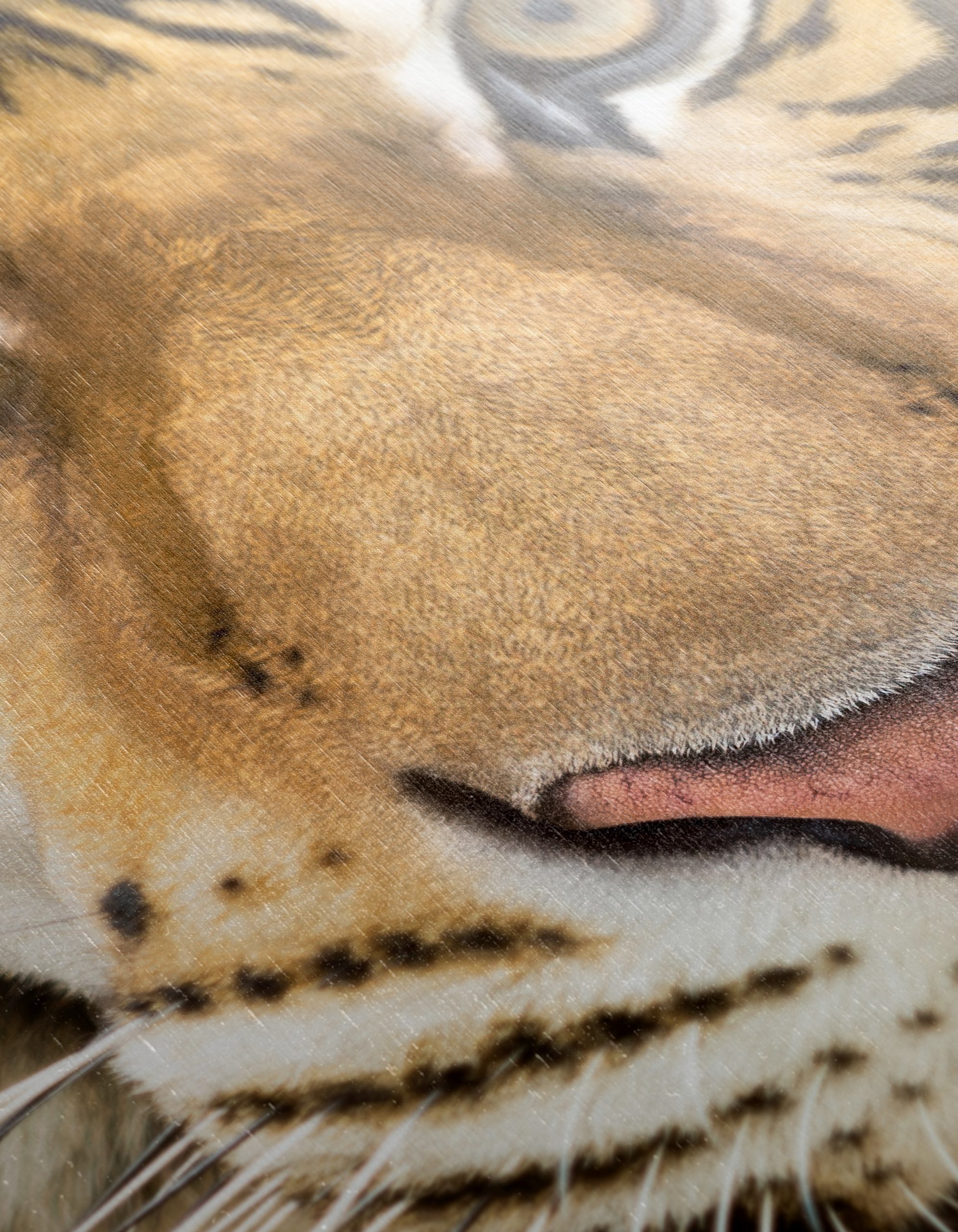 Stunning Tiger Wall Art 2 - Image 12