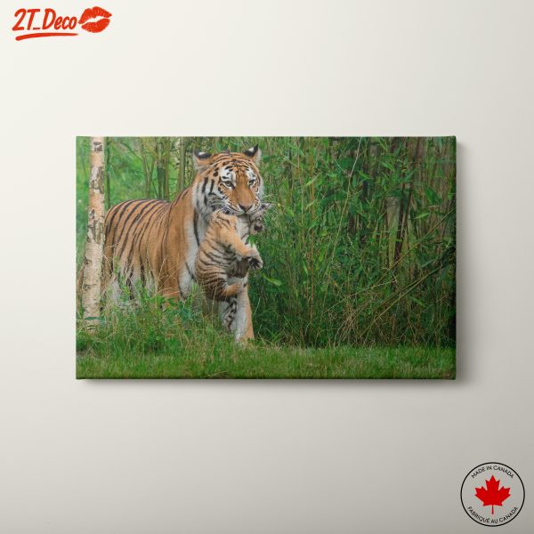 Mother Tiger with Cub in Lush Greenery