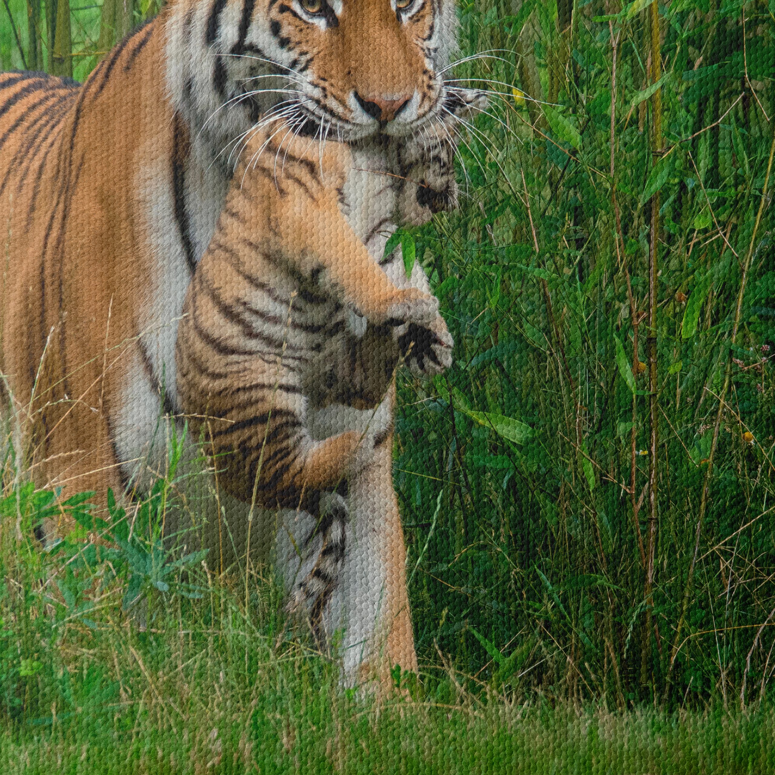 Mother Tiger with Cub in Lush Greenery - Image 4