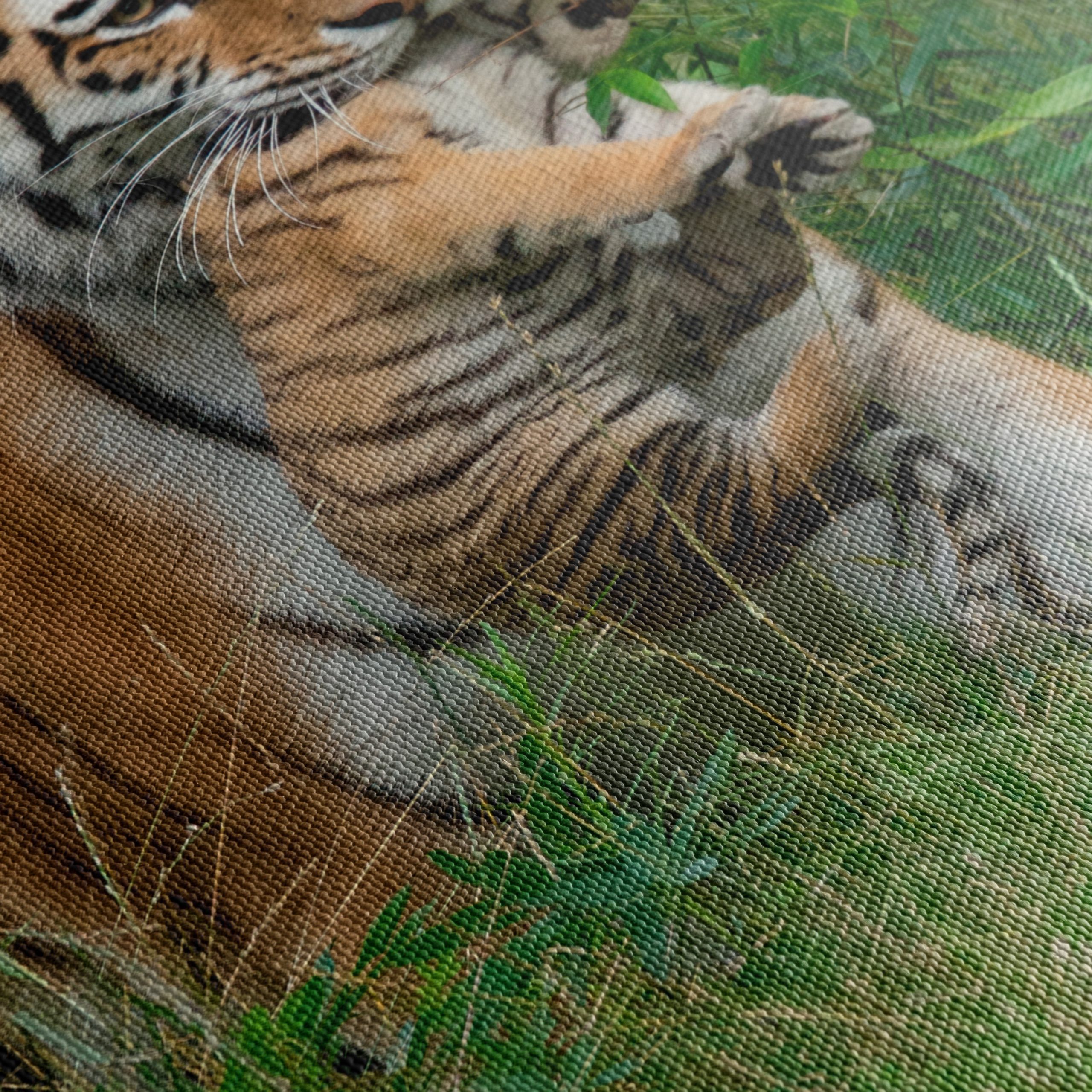 Mother Tiger with Cub in Lush Greenery - Image 5