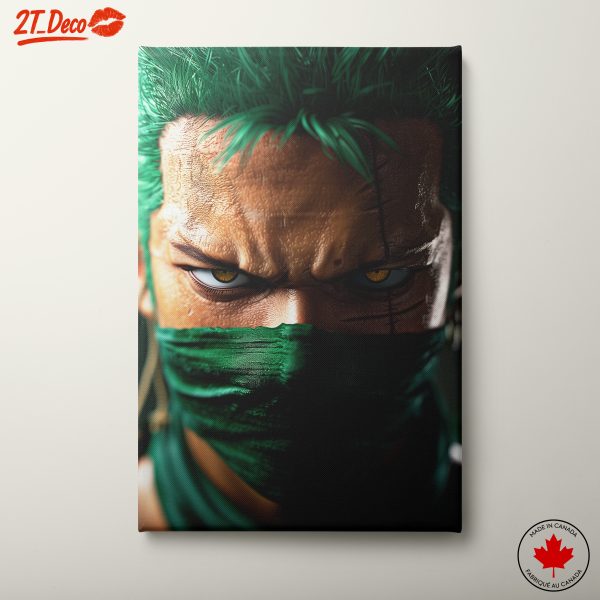 Dynamic Character from One Piece