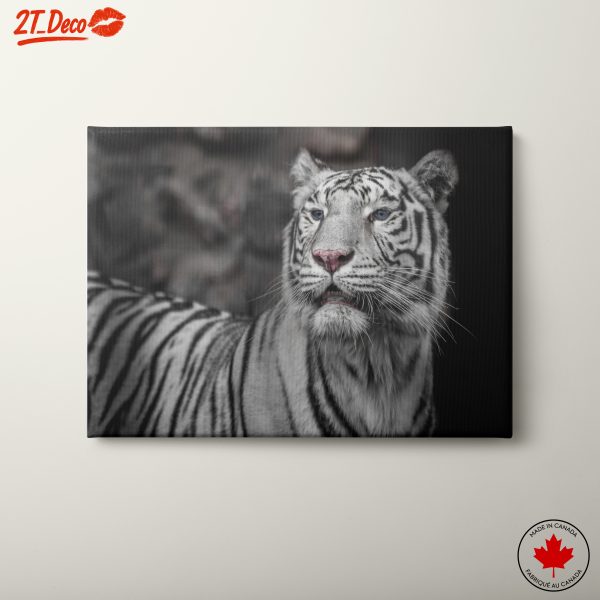 White Tiger Portrait Wall Art