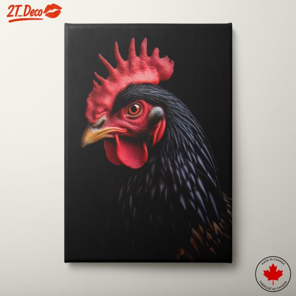 Artistic Chicken Portrait on Black Background