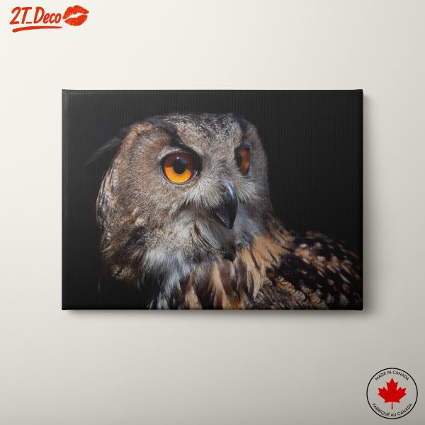Detailed Portrait of an Owl