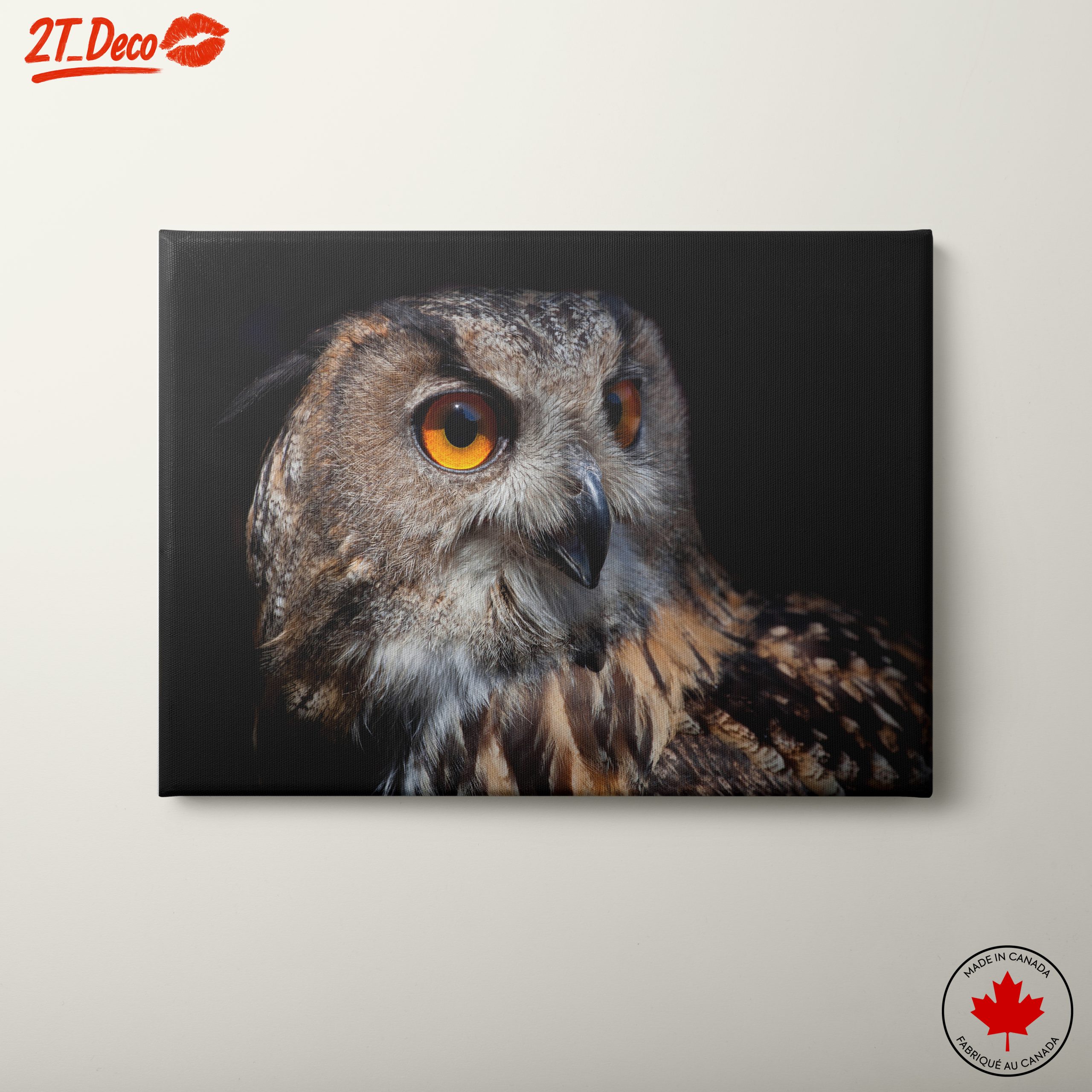 Detailed Portrait of an Owl