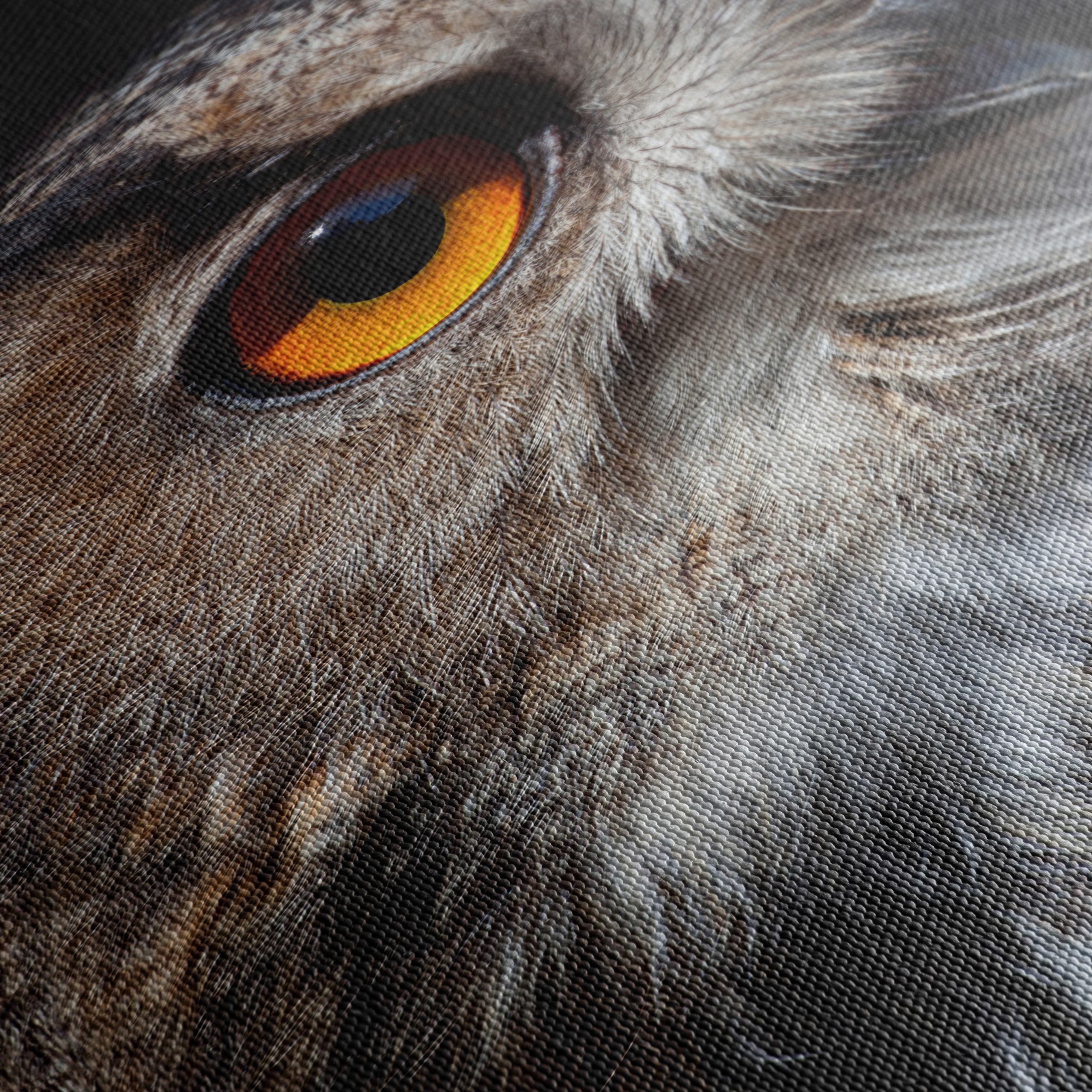 Detailed Portrait of an Owl - Image 5