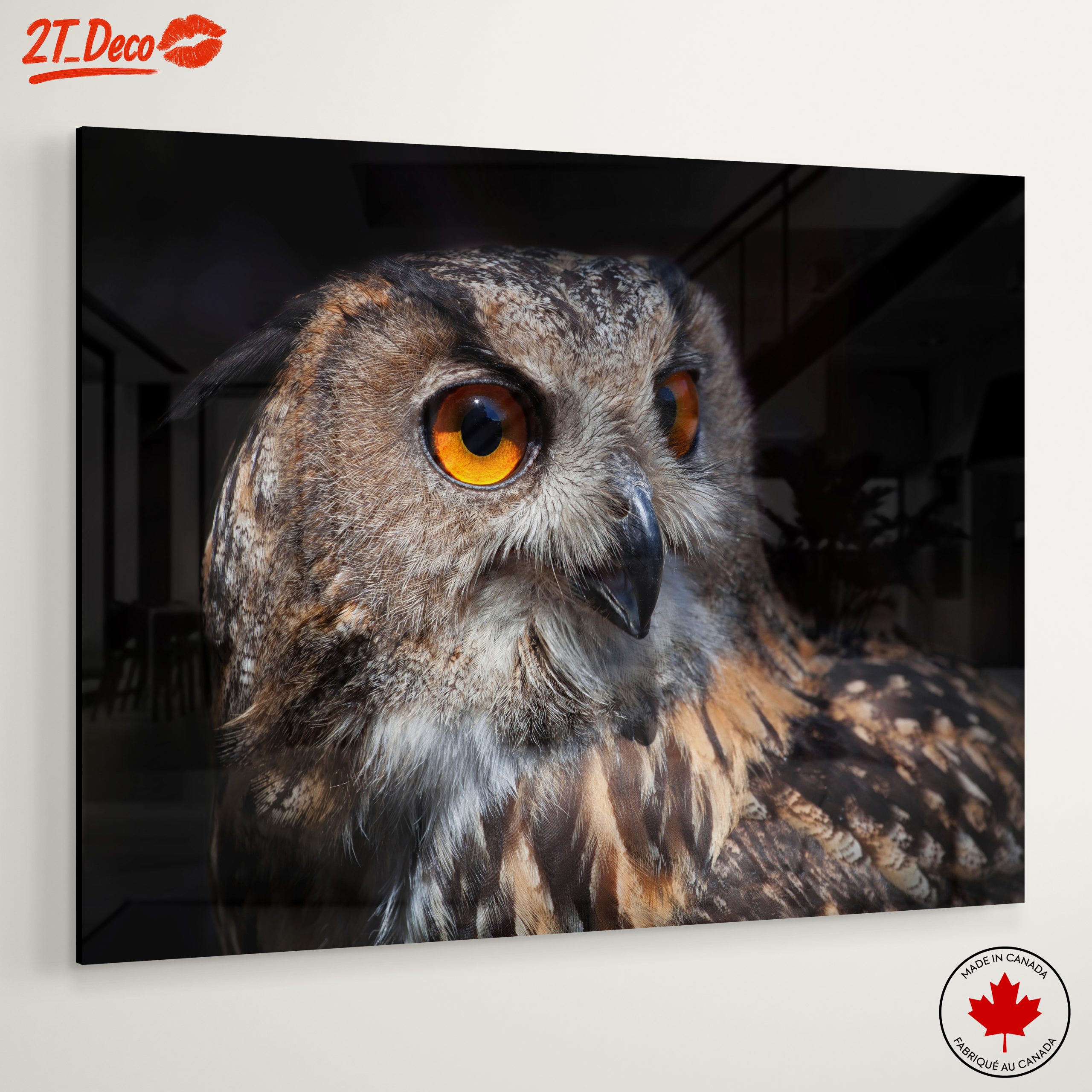 Detailed Portrait of an Owl - Image 6