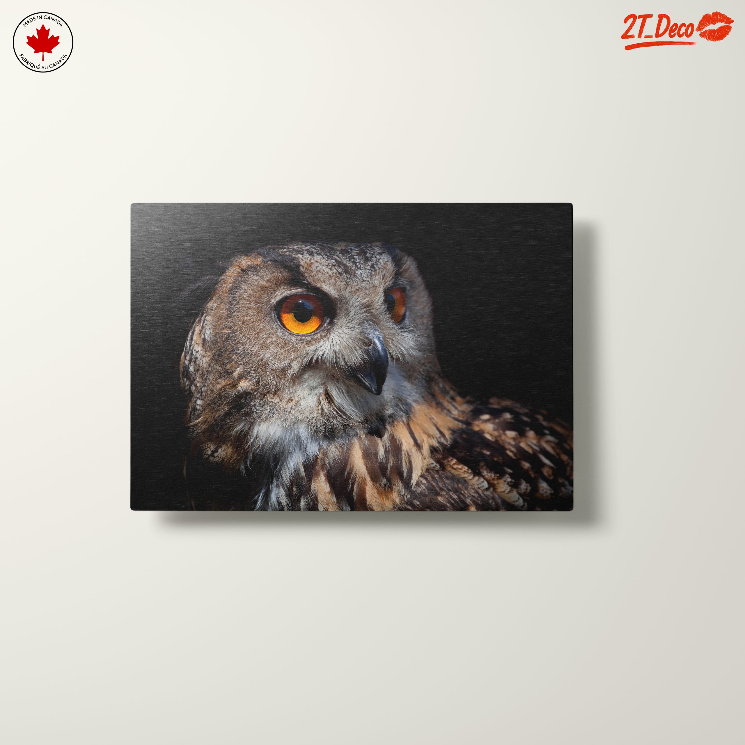 Detailed Portrait of an Owl - Image 10