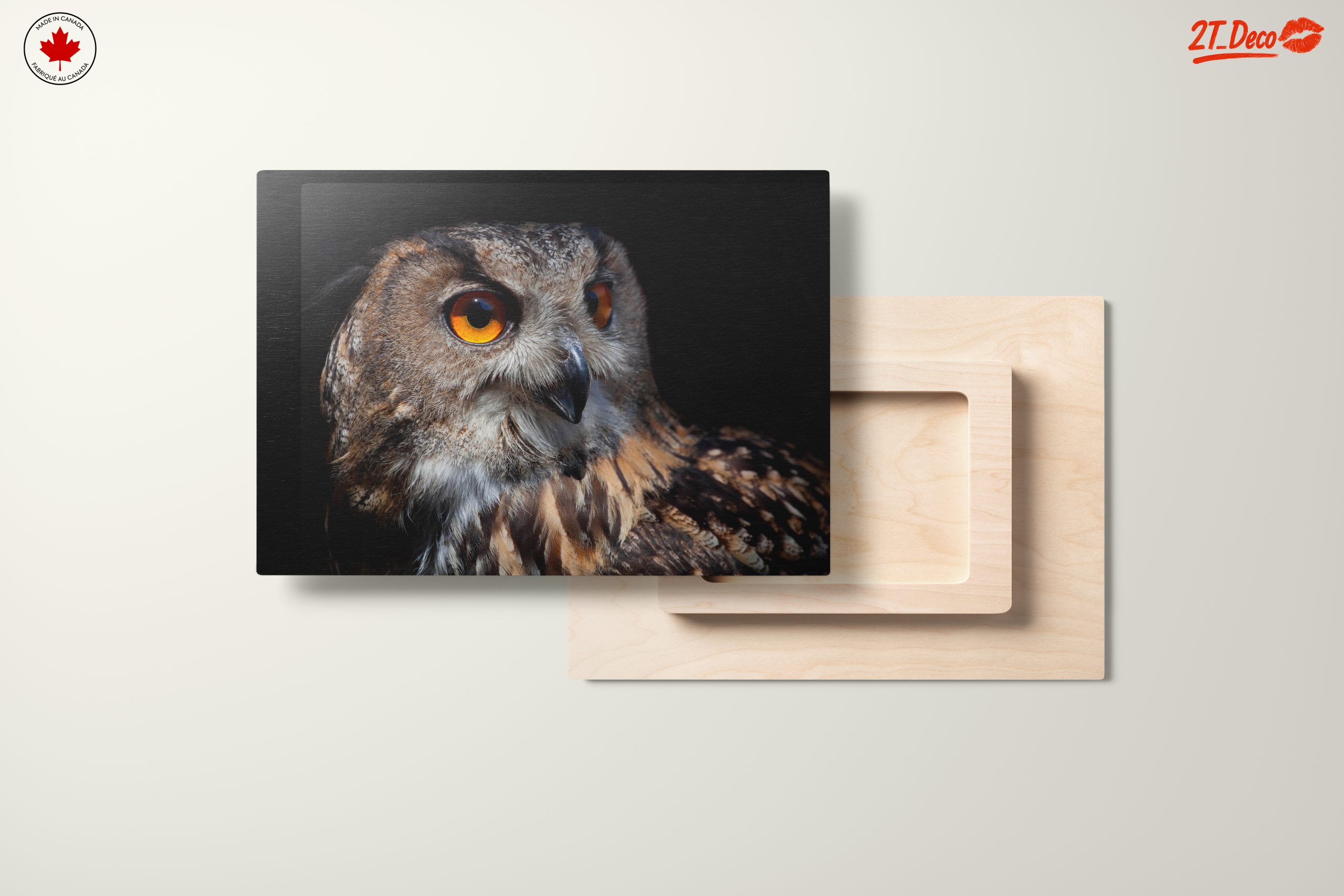 Detailed Portrait of an Owl - Image 11
