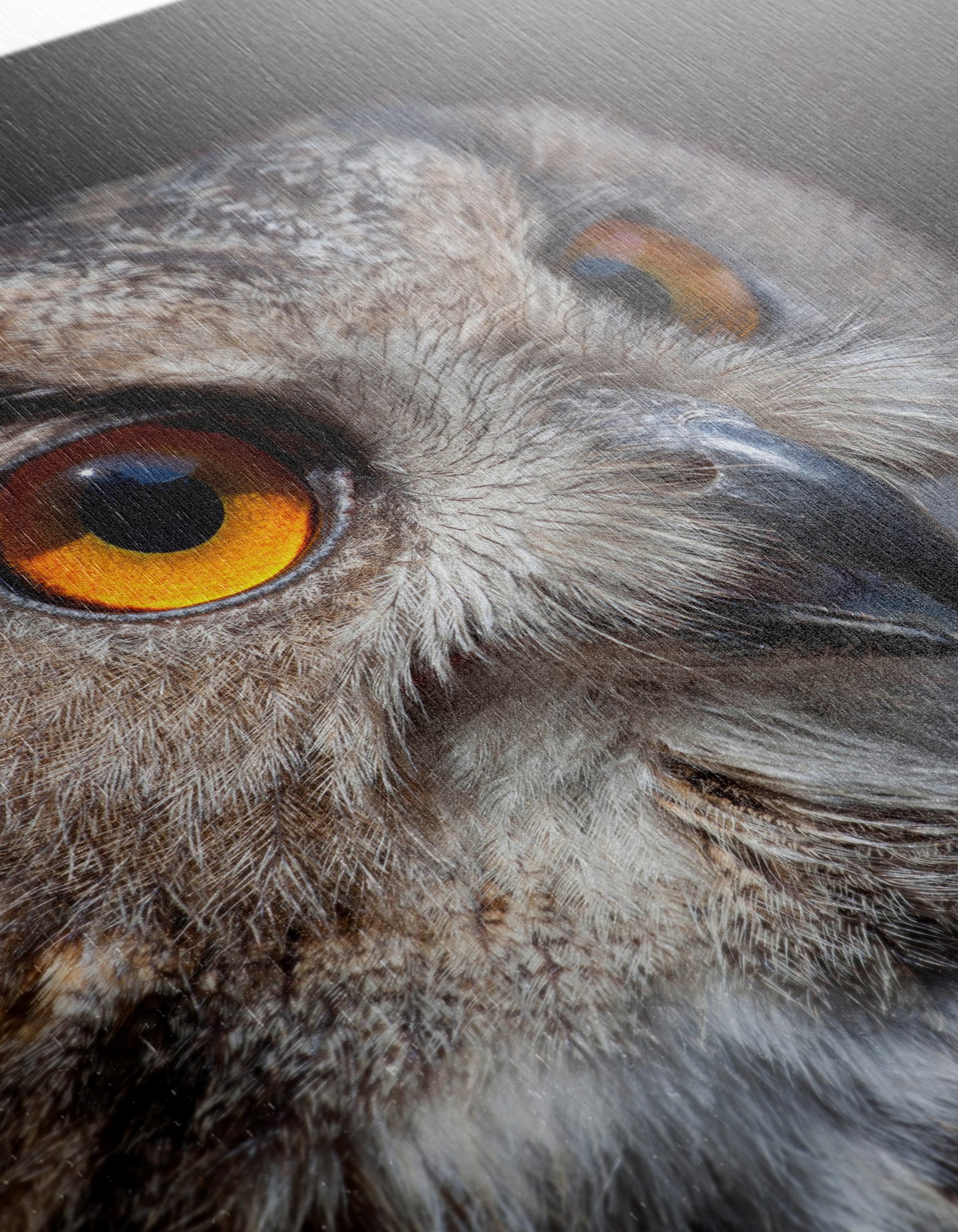 Detailed Portrait of an Owl - Image 12