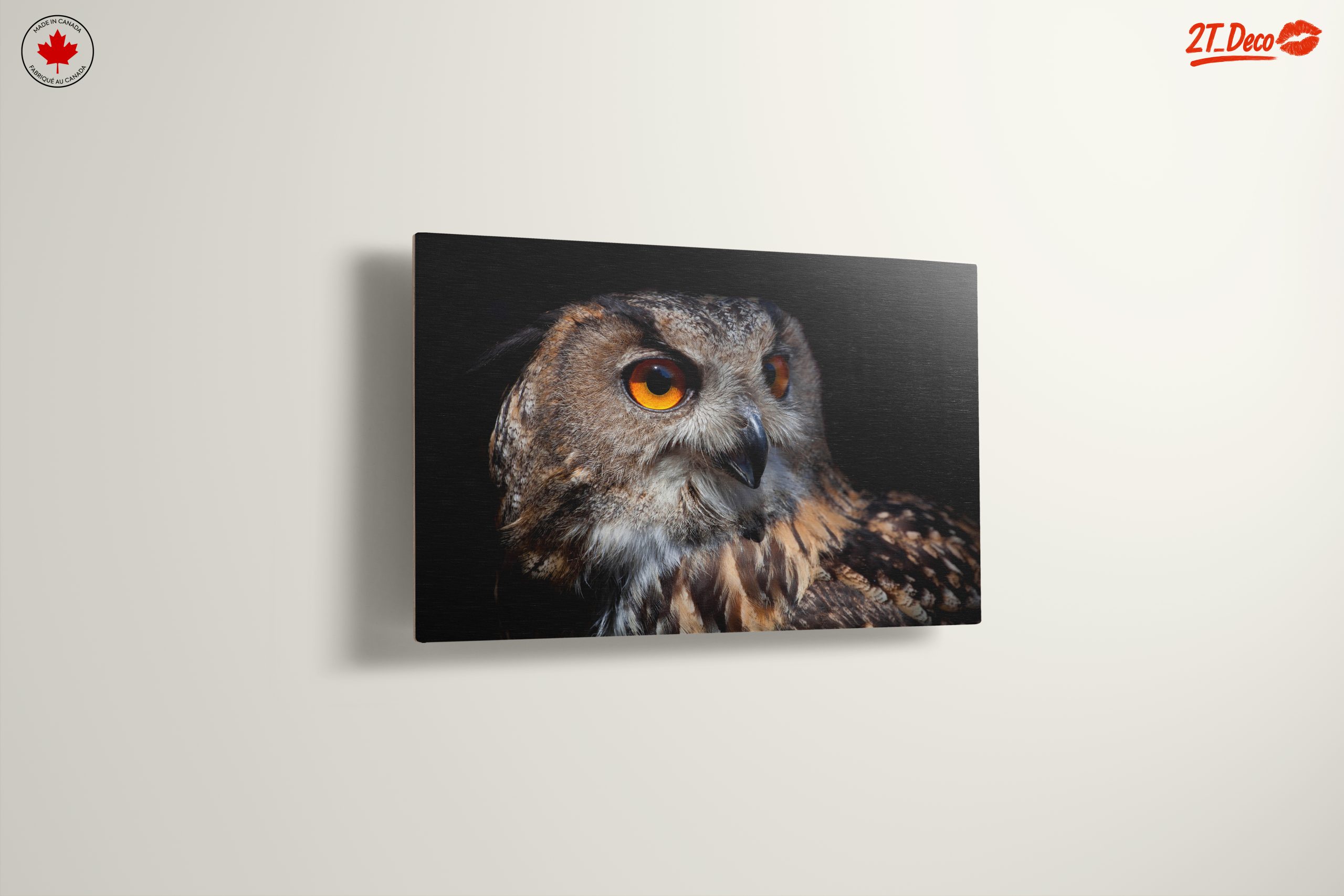 Detailed Portrait of an Owl - Image 13