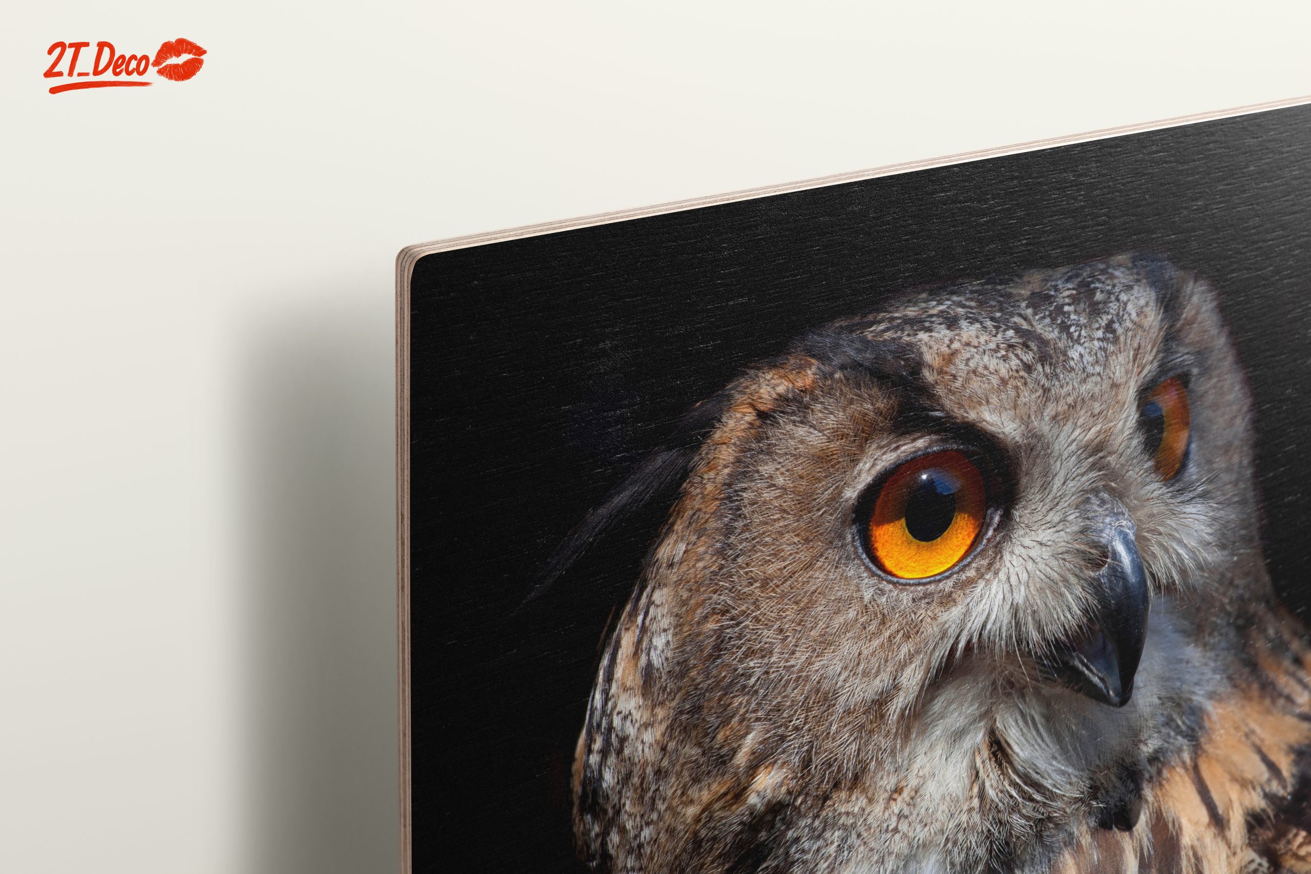 Detailed Portrait of an Owl - Image 15