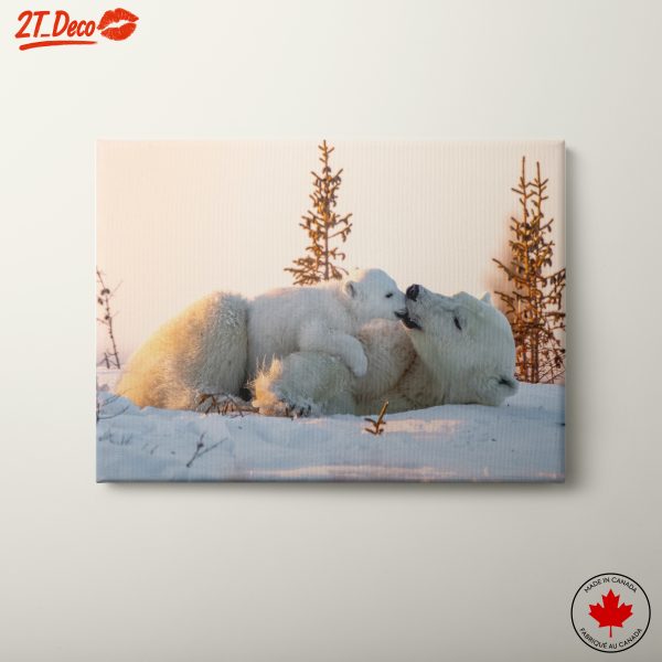 Nurturing Polar Bears in Winter Landscape