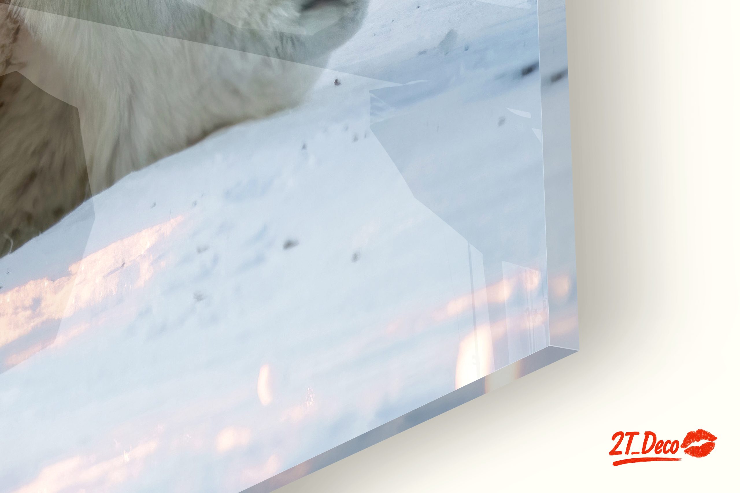 Nurturing Polar Bears in Winter Landscape - Image 9