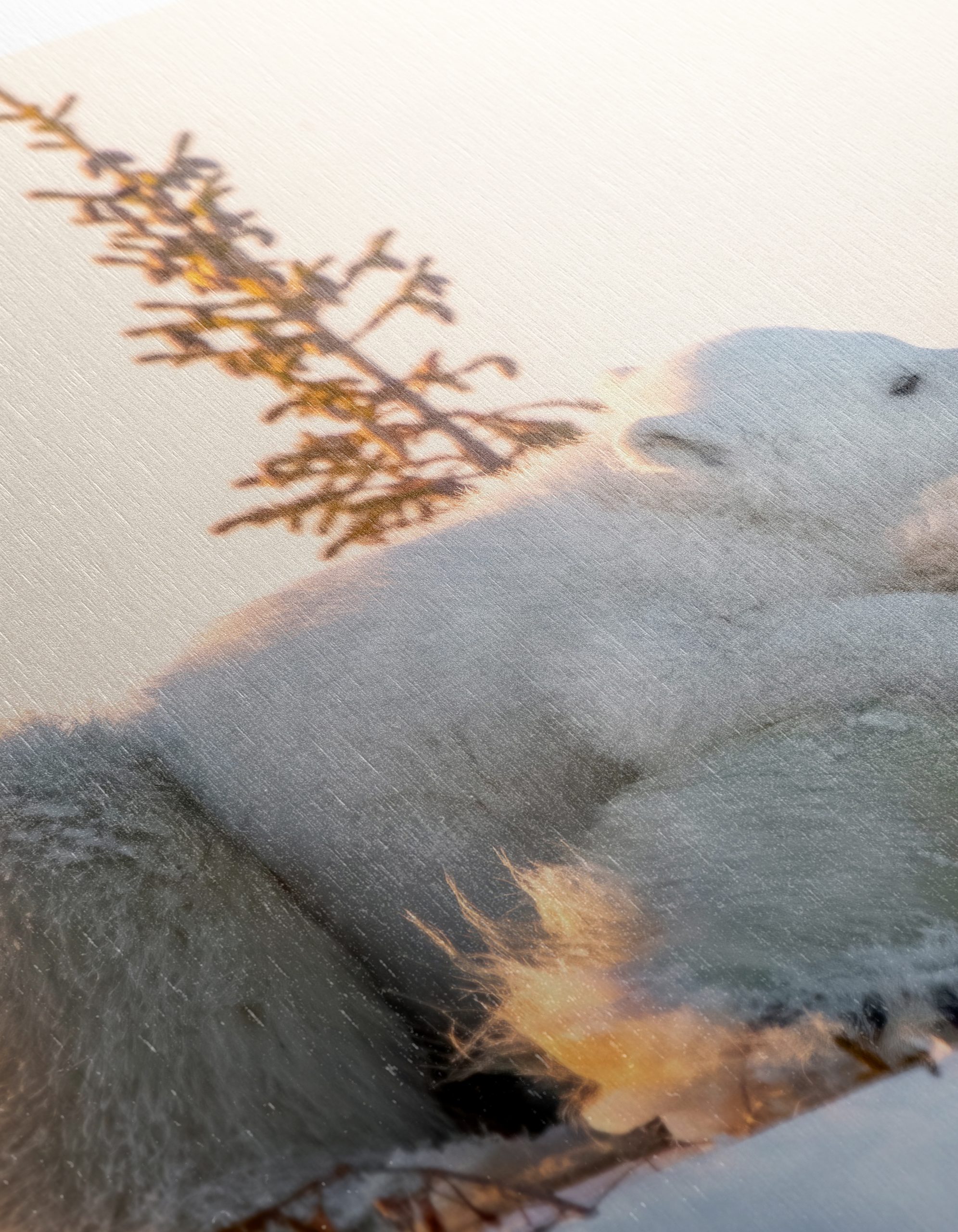 Nurturing Polar Bears in Winter Landscape - Image 12