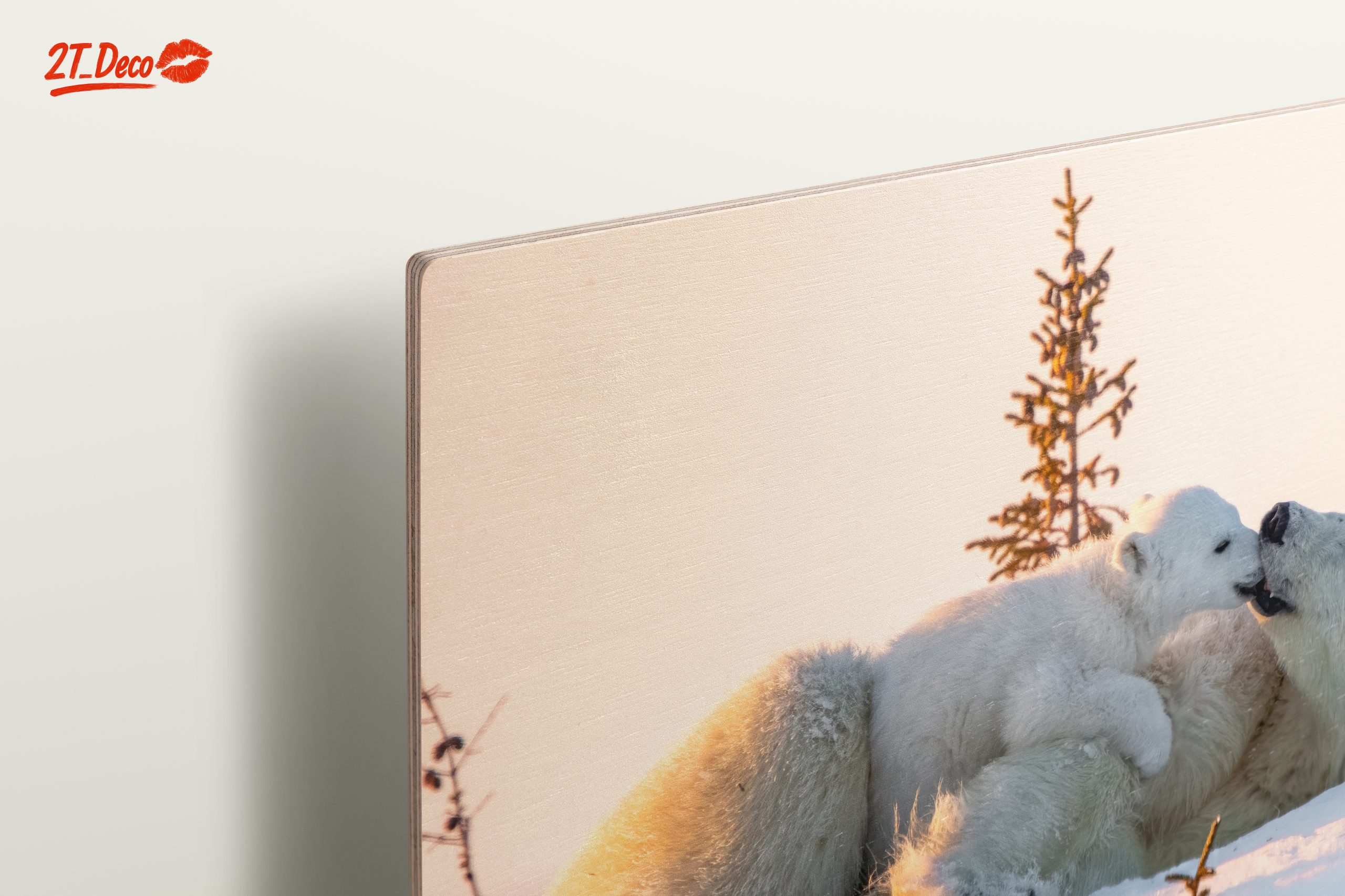 Nurturing Polar Bears in Winter Landscape - Image 15