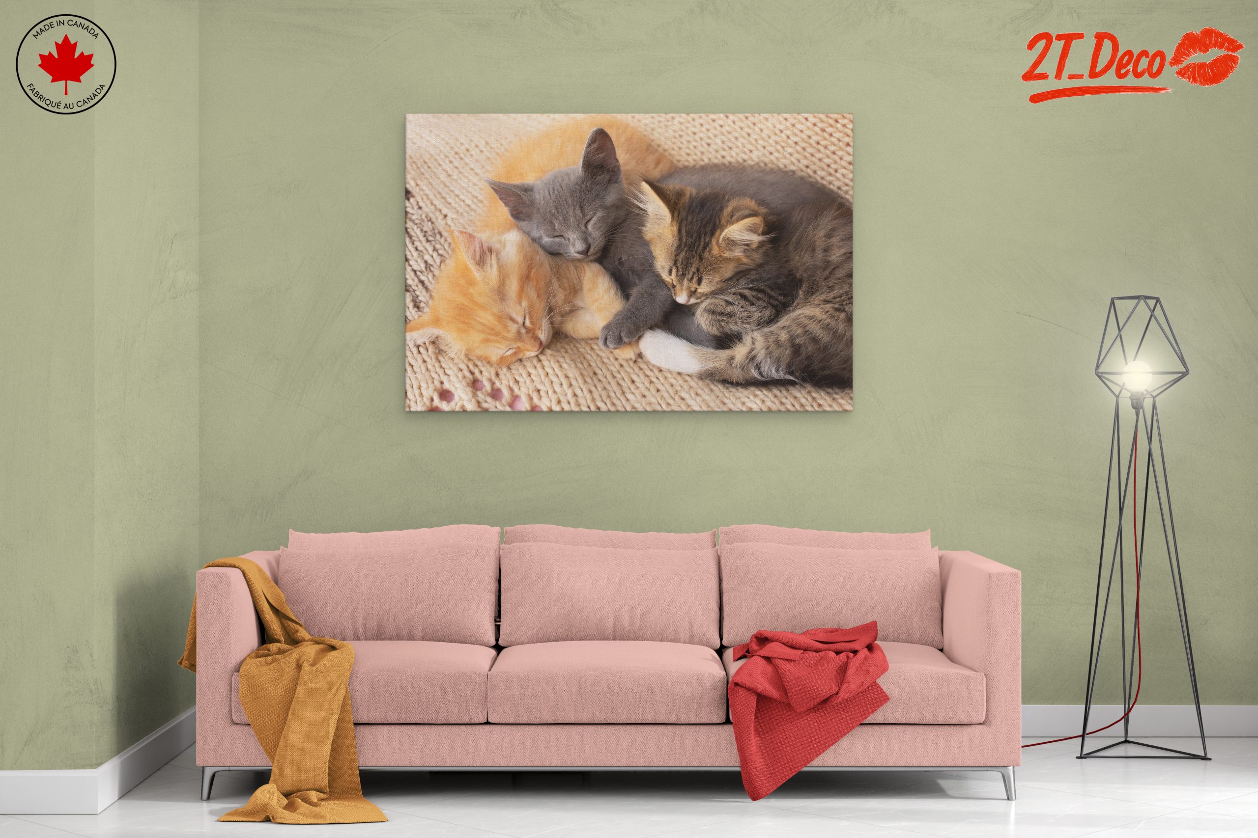 Three Adorable Kittens Sleeping Together - Image 2