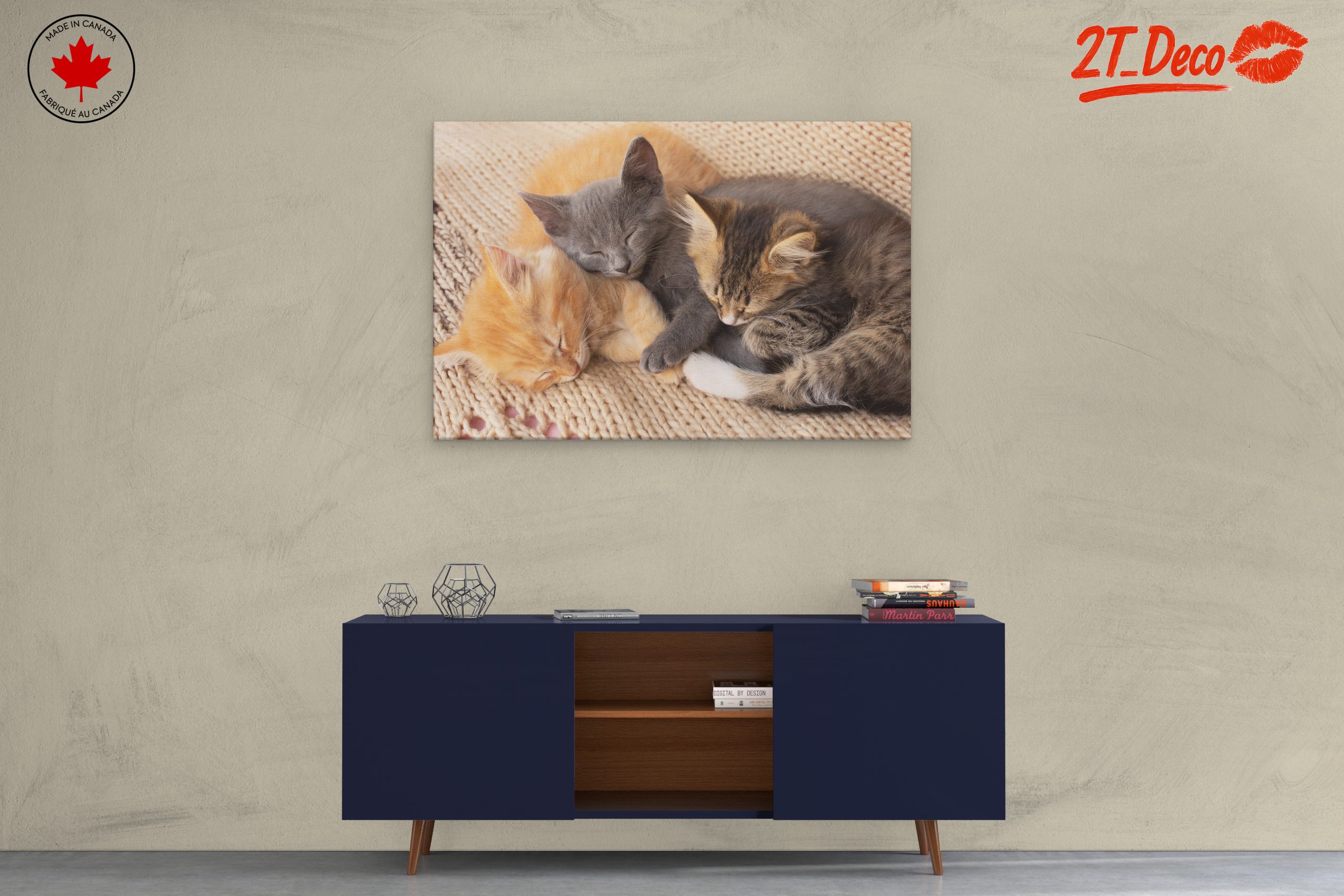 Three Adorable Kittens Sleeping Together - Image 3