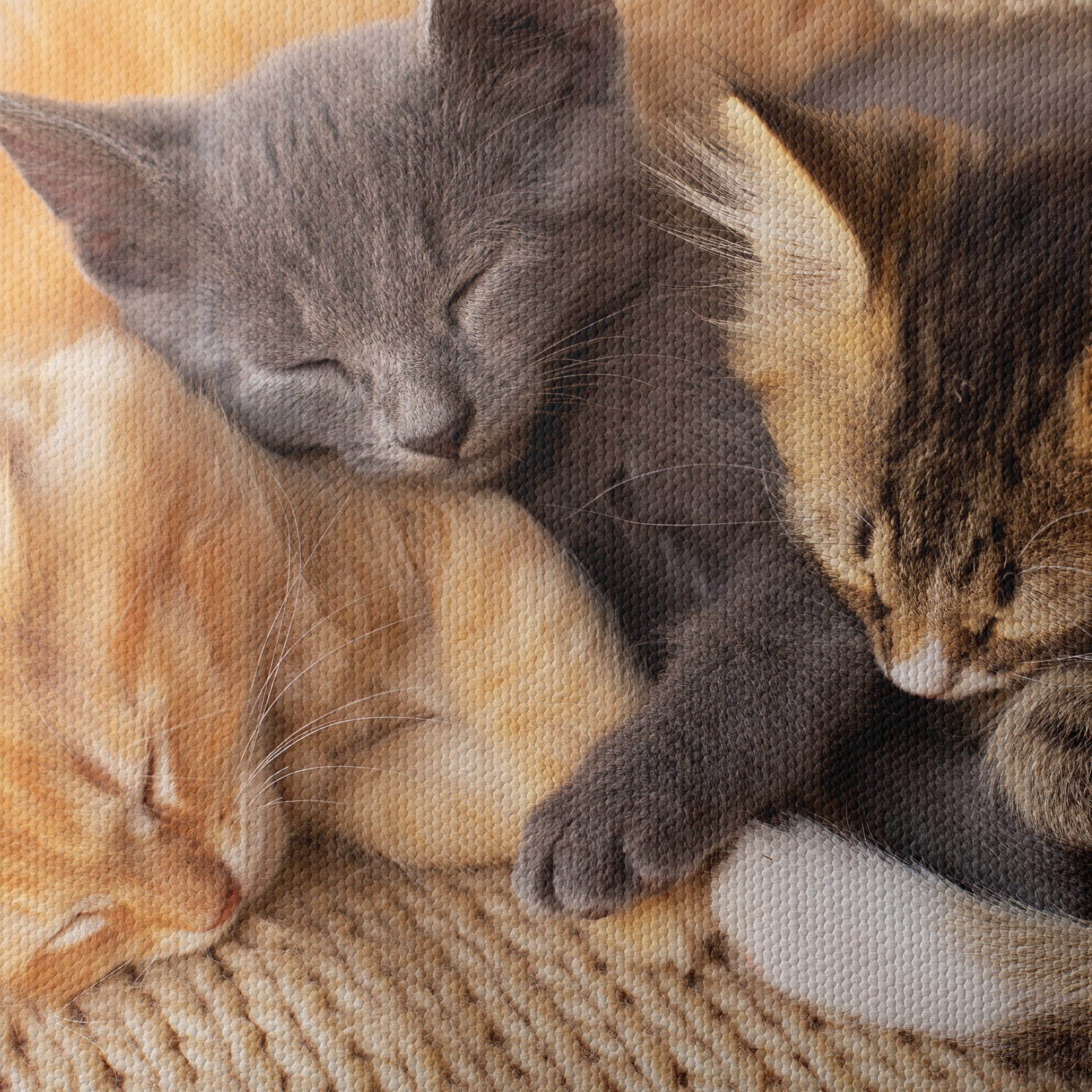 Three Adorable Kittens Sleeping Together - Image 4