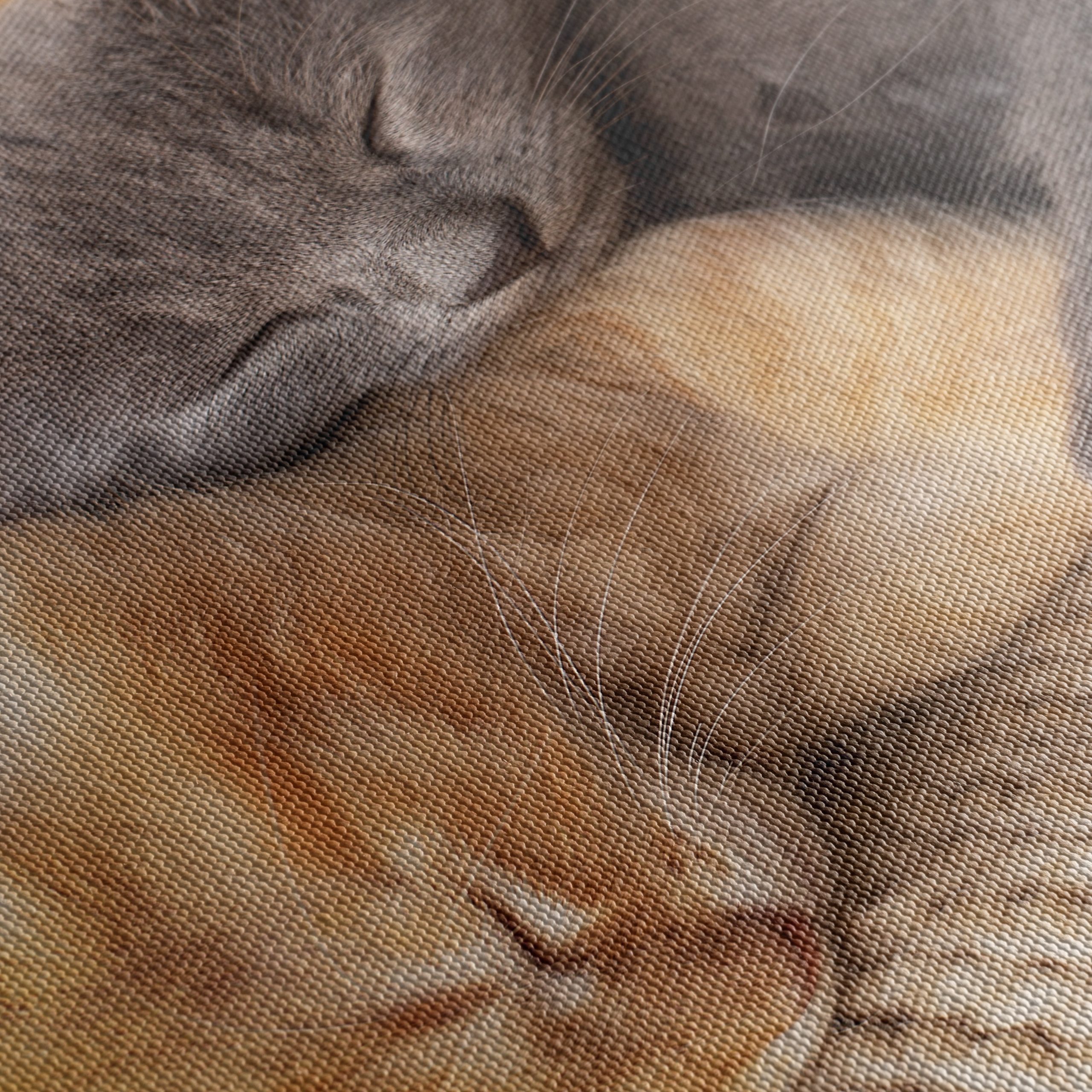 Three Adorable Kittens Sleeping Together - Image 5