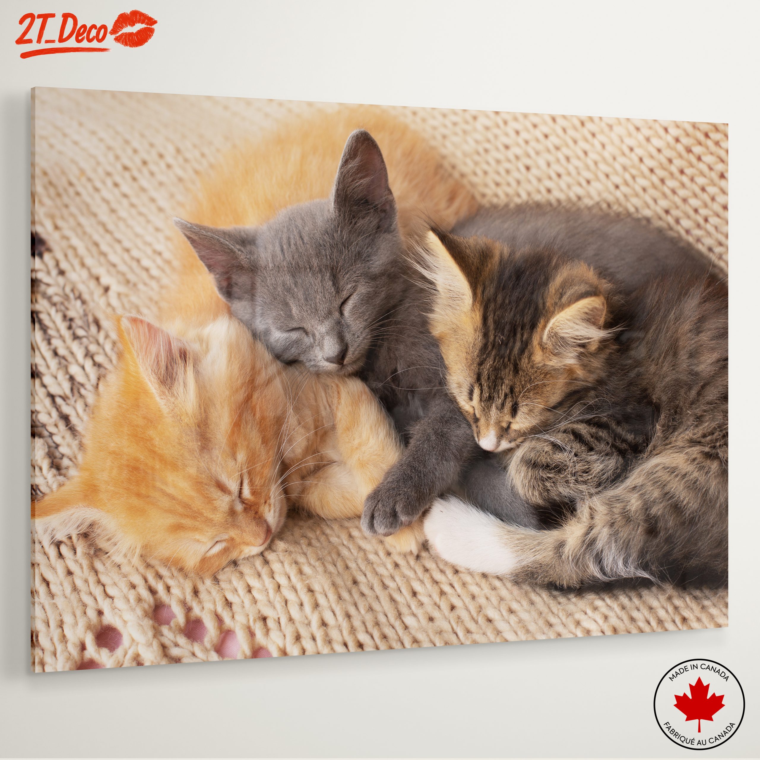 Three Adorable Kittens Sleeping Together - Image 6