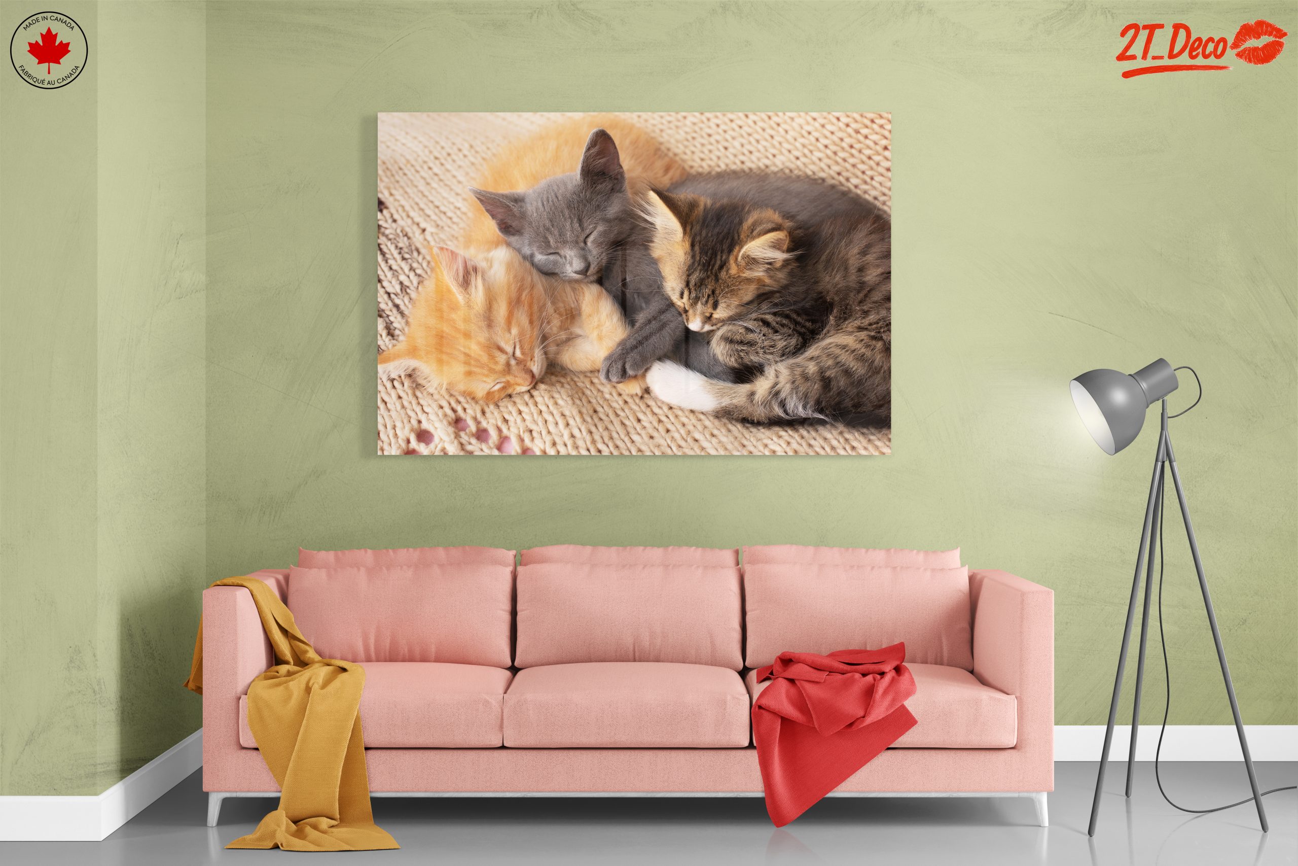 Three Adorable Kittens Sleeping Together - Image 7