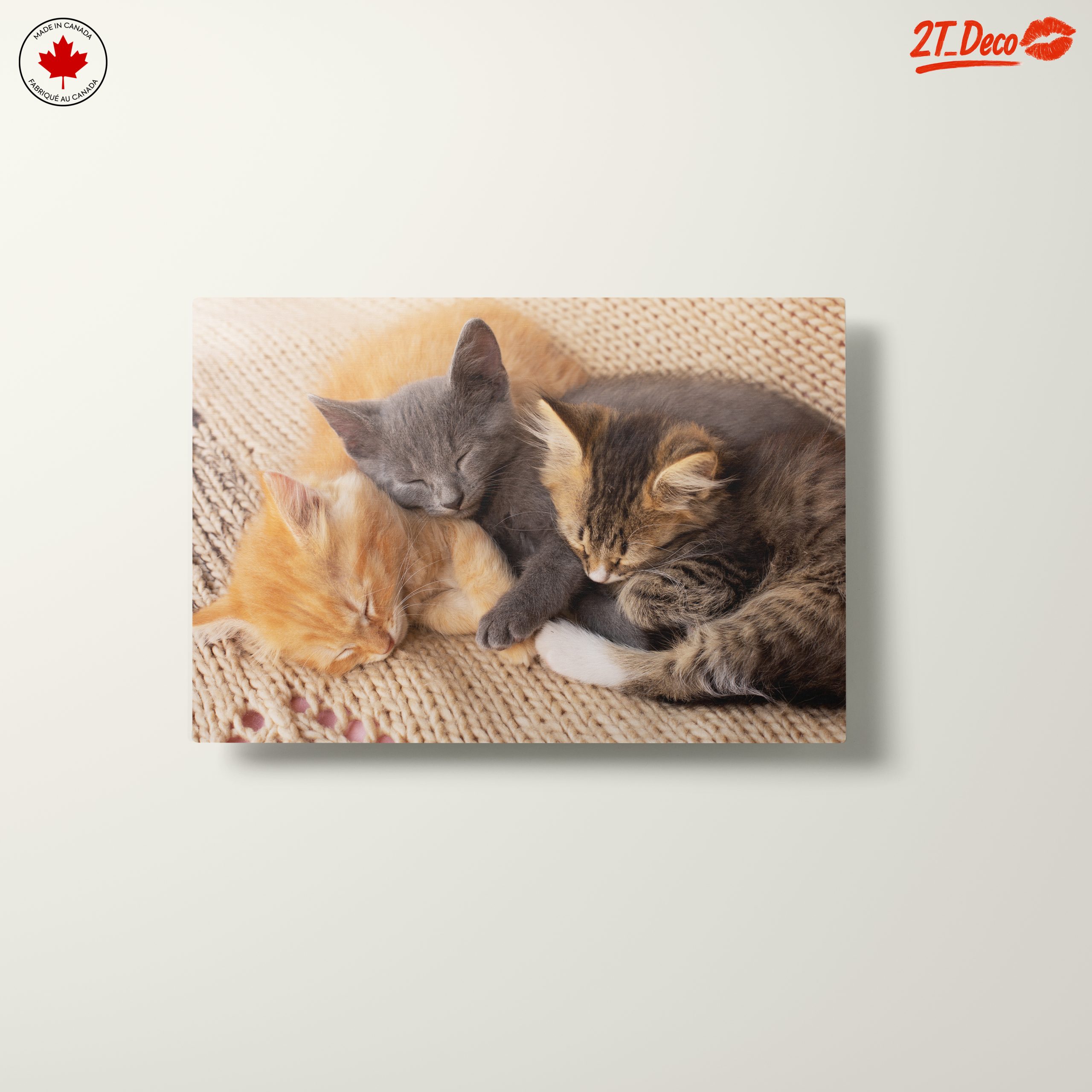Three Adorable Kittens Sleeping Together - Image 10